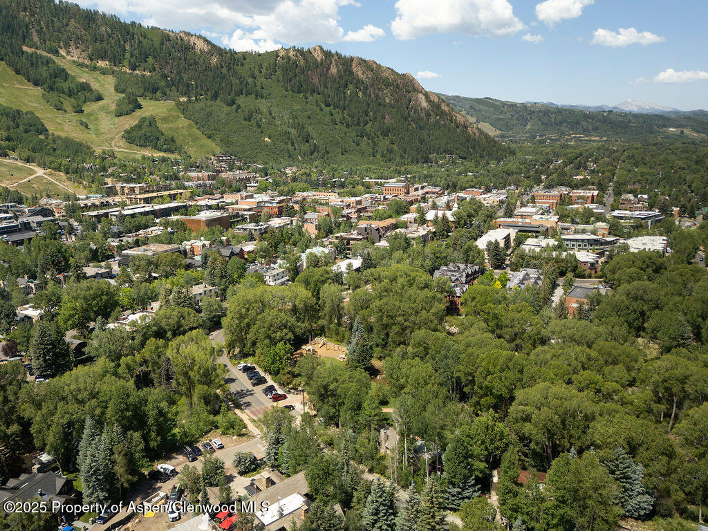 109 Neale Avenue Aspen CO 81611