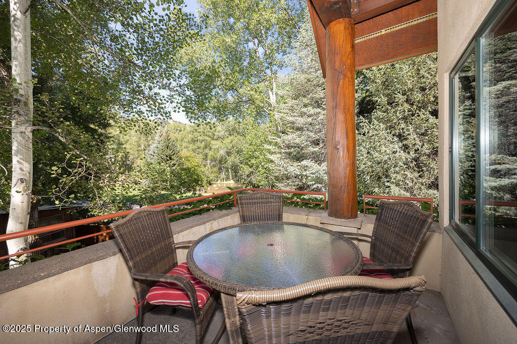 109 Neale Avenue Aspen CO 81611