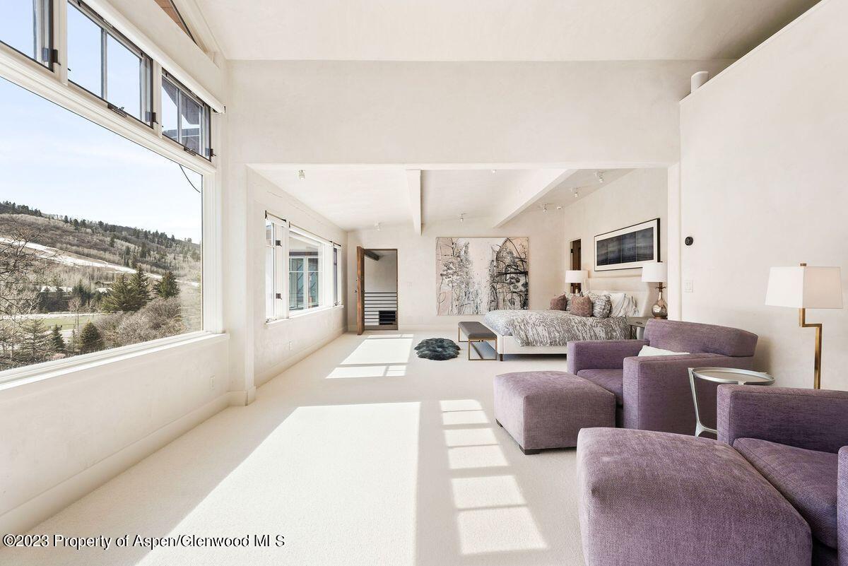 75 Glen Eagle Drive Aspen CO 81611