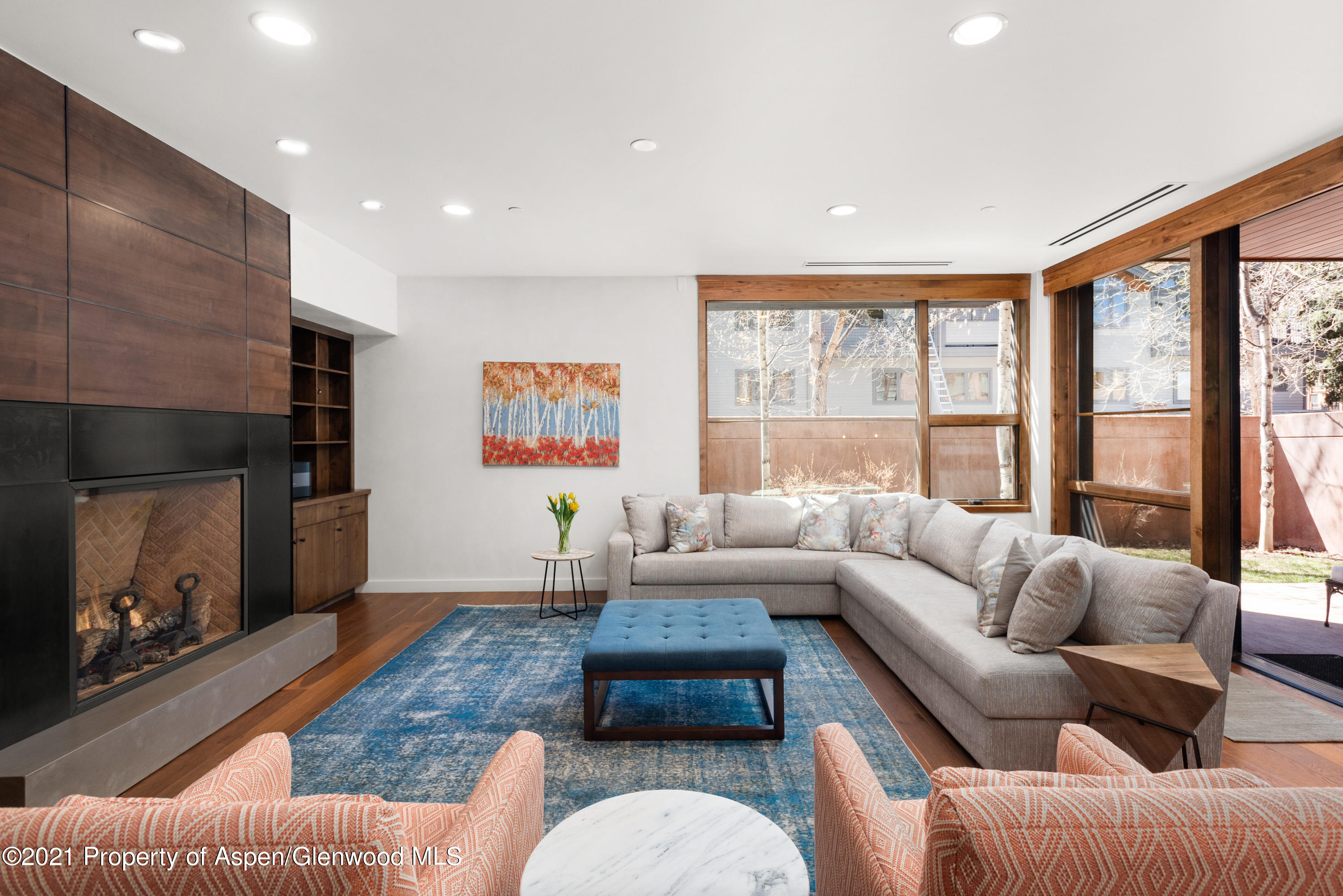 233 E Cooper Avenue Aspen CO 81611