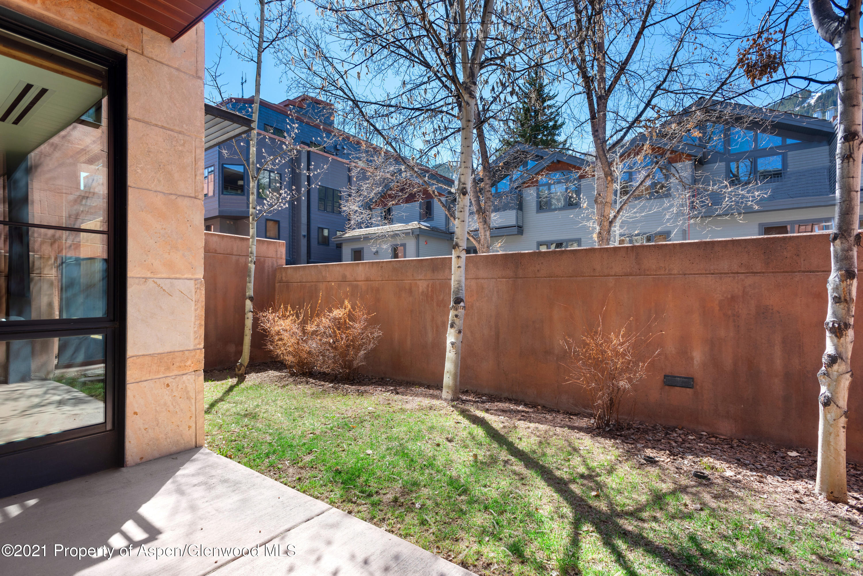 233 E Cooper Avenue Aspen CO 81611