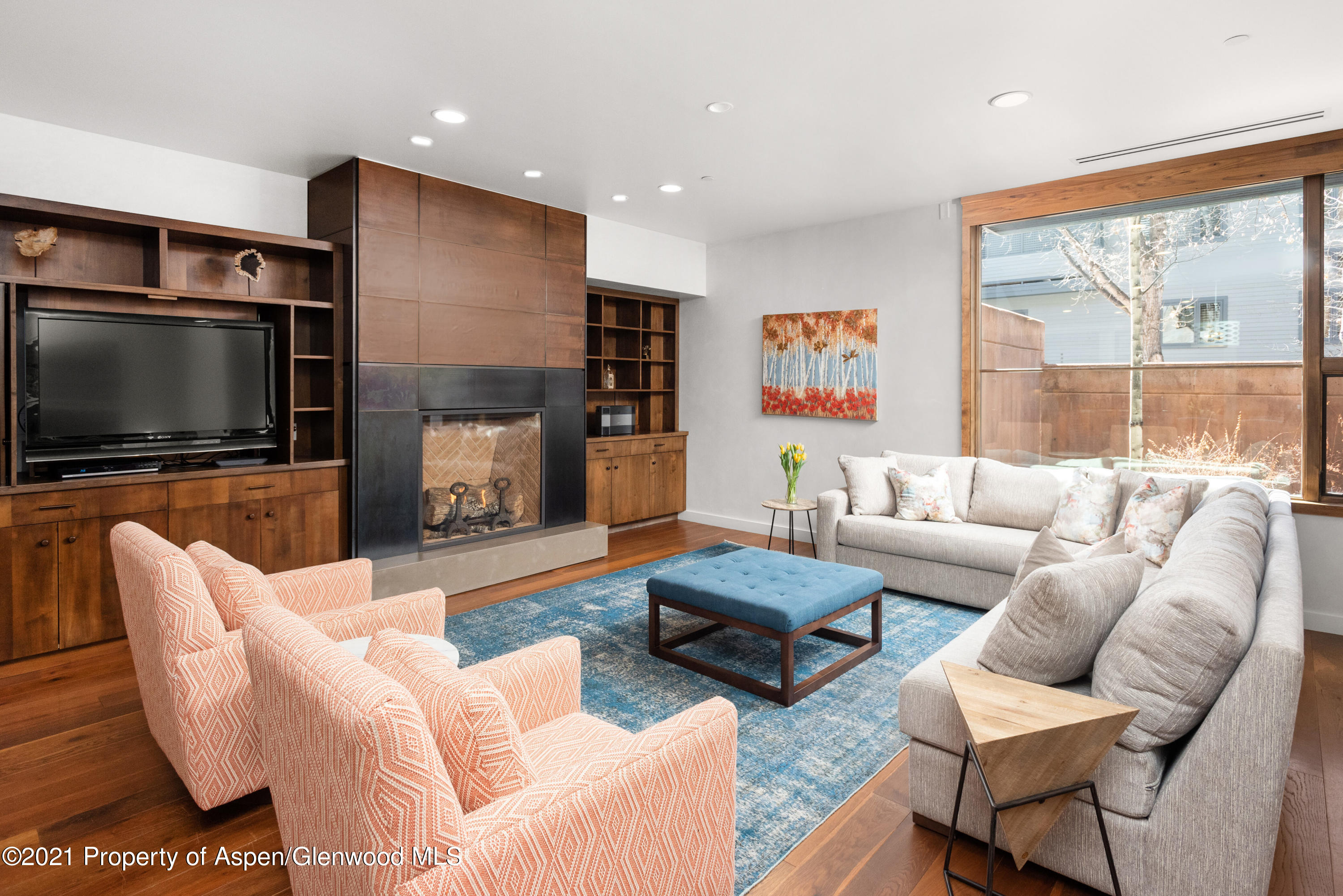 233 E Cooper Avenue Aspen CO 81611
