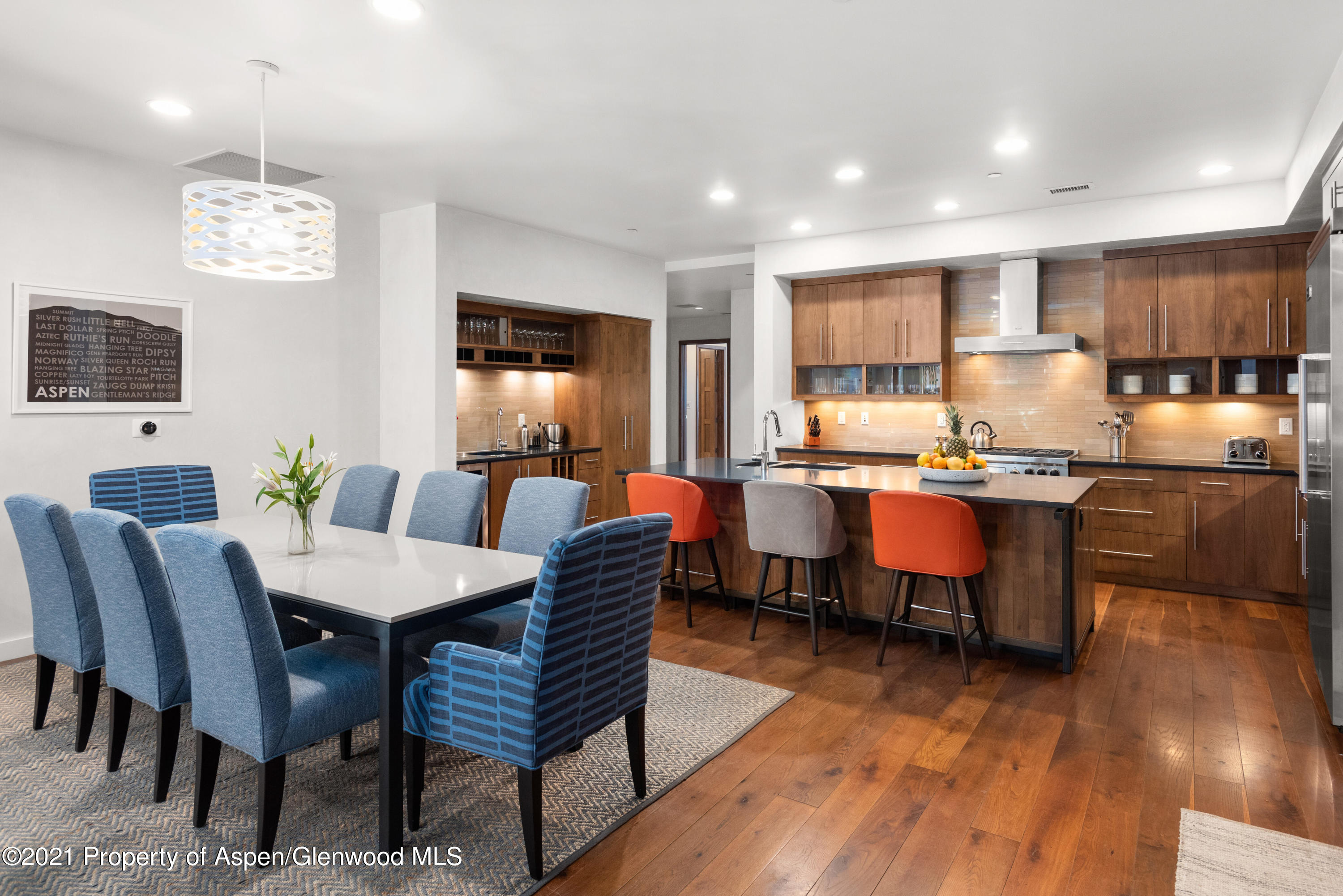 233 E Cooper Avenue Aspen CO 81611