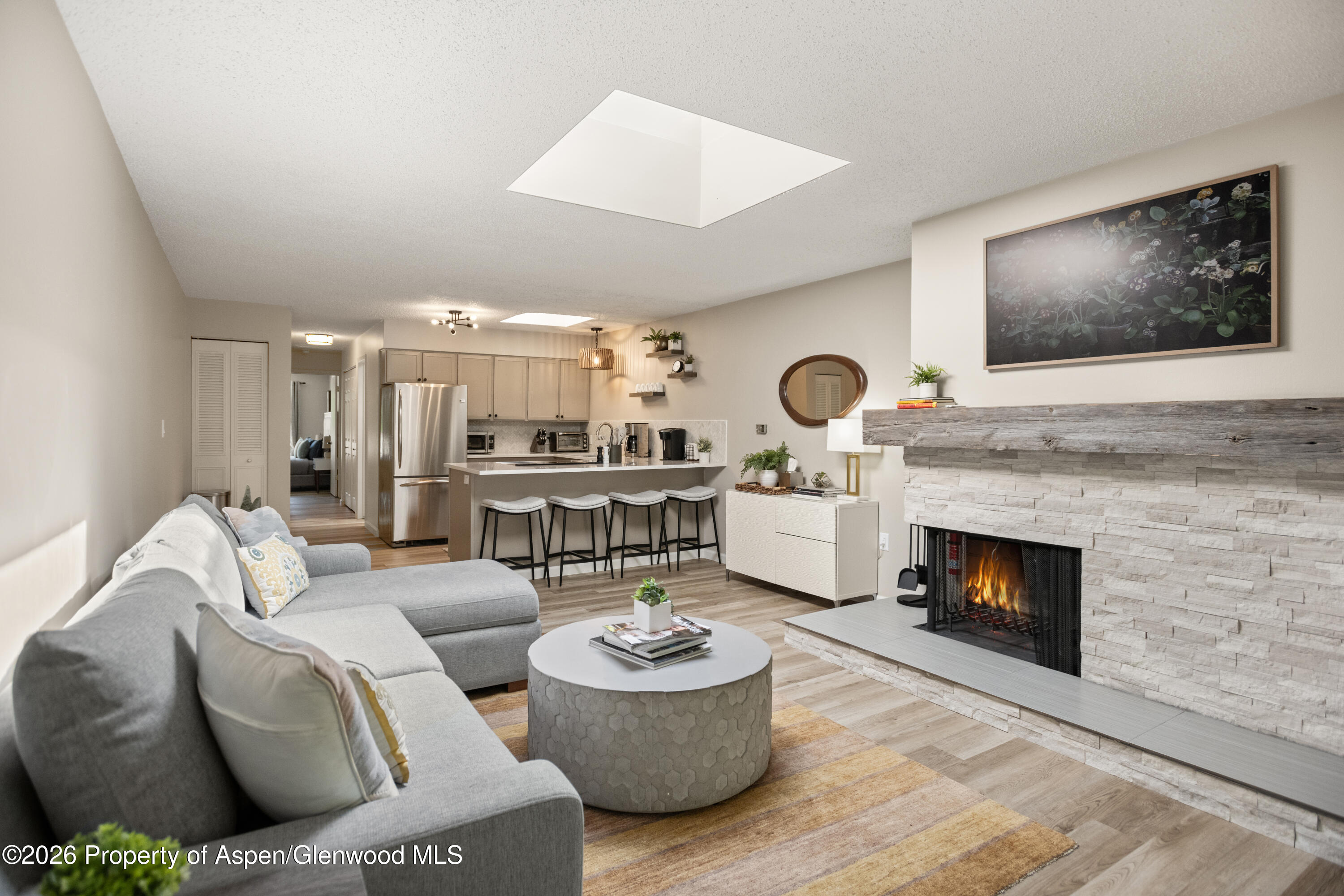 100 E Dean Street Aspen CO 81611