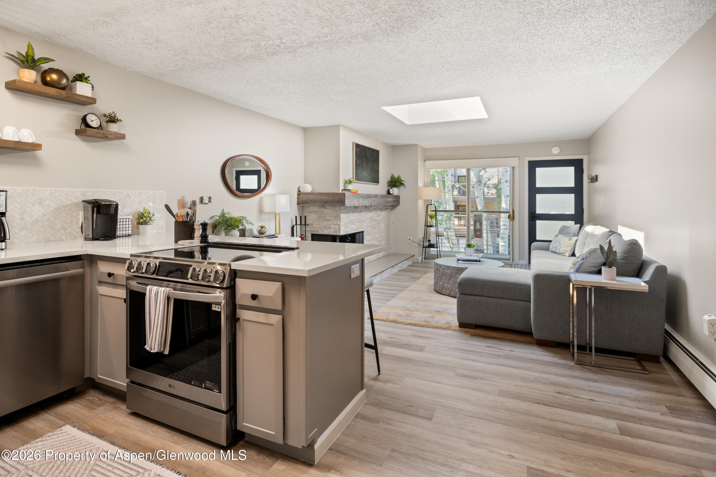 100 E Dean Street Aspen CO 81611
