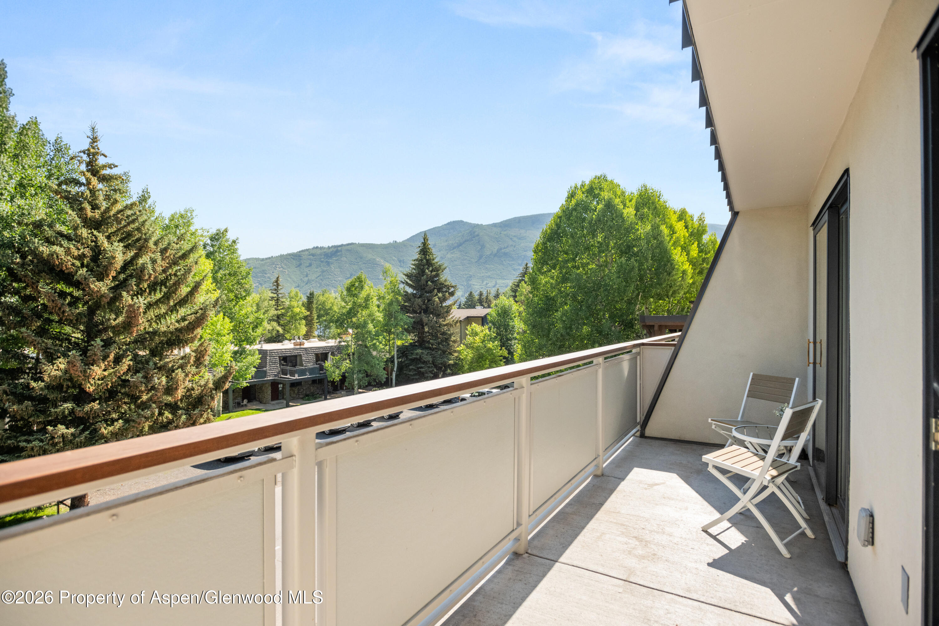 100 E Dean Street Aspen CO 81611