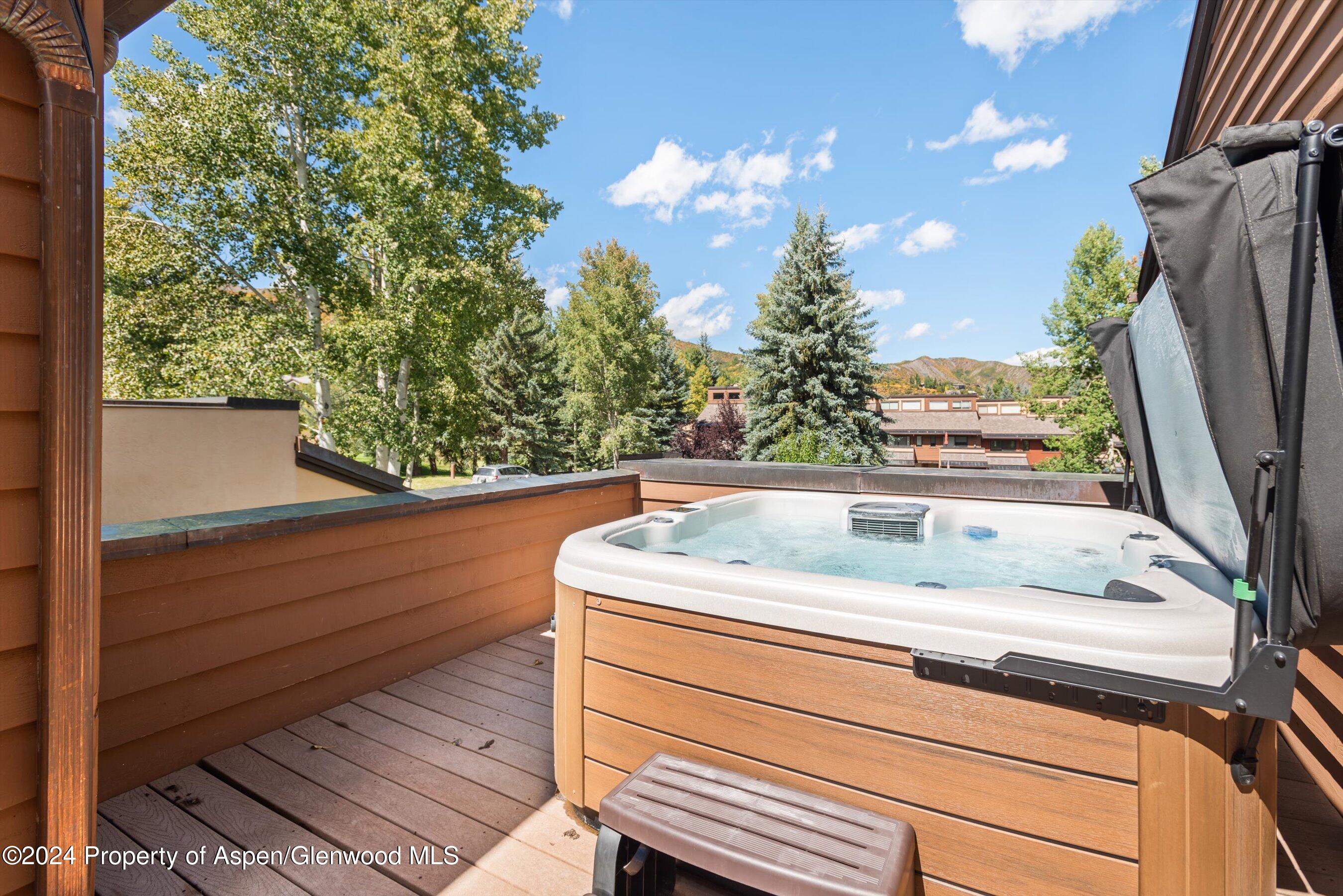 124 Harleston Green Road Snowmass Village CO 81615