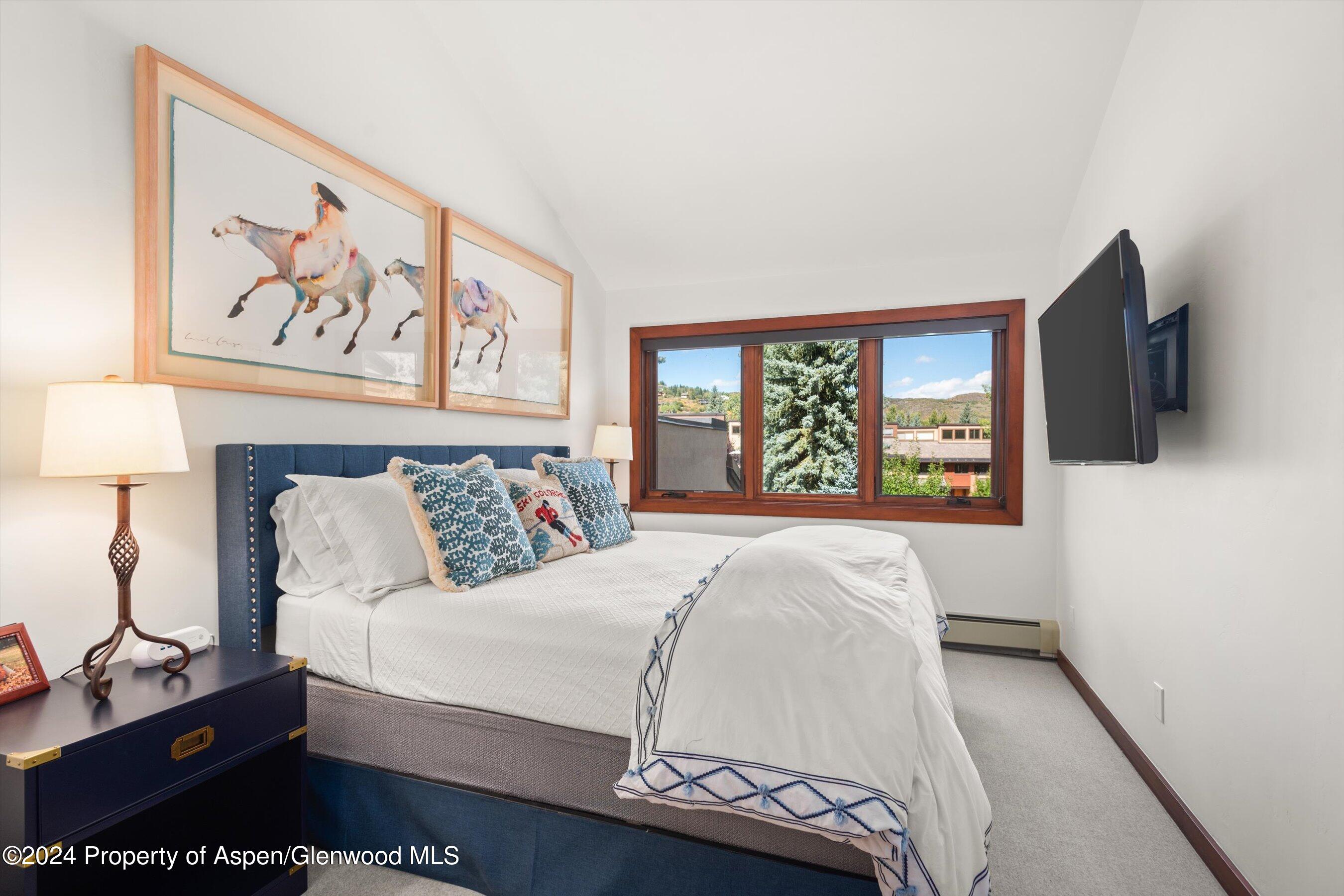 124 Harleston Green Road Snowmass Village CO 81615