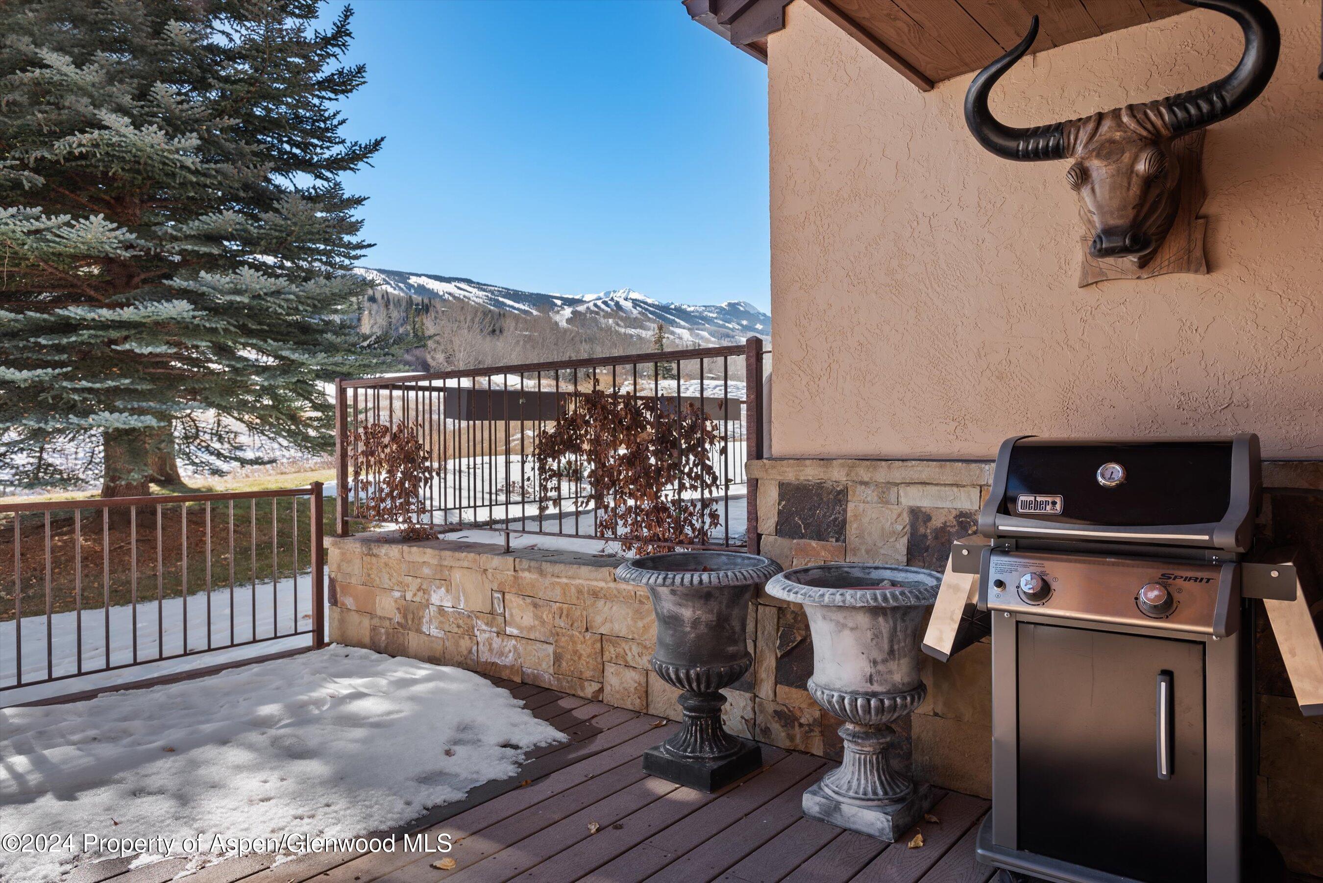124 Harleston Green Road Snowmass Village CO 81615