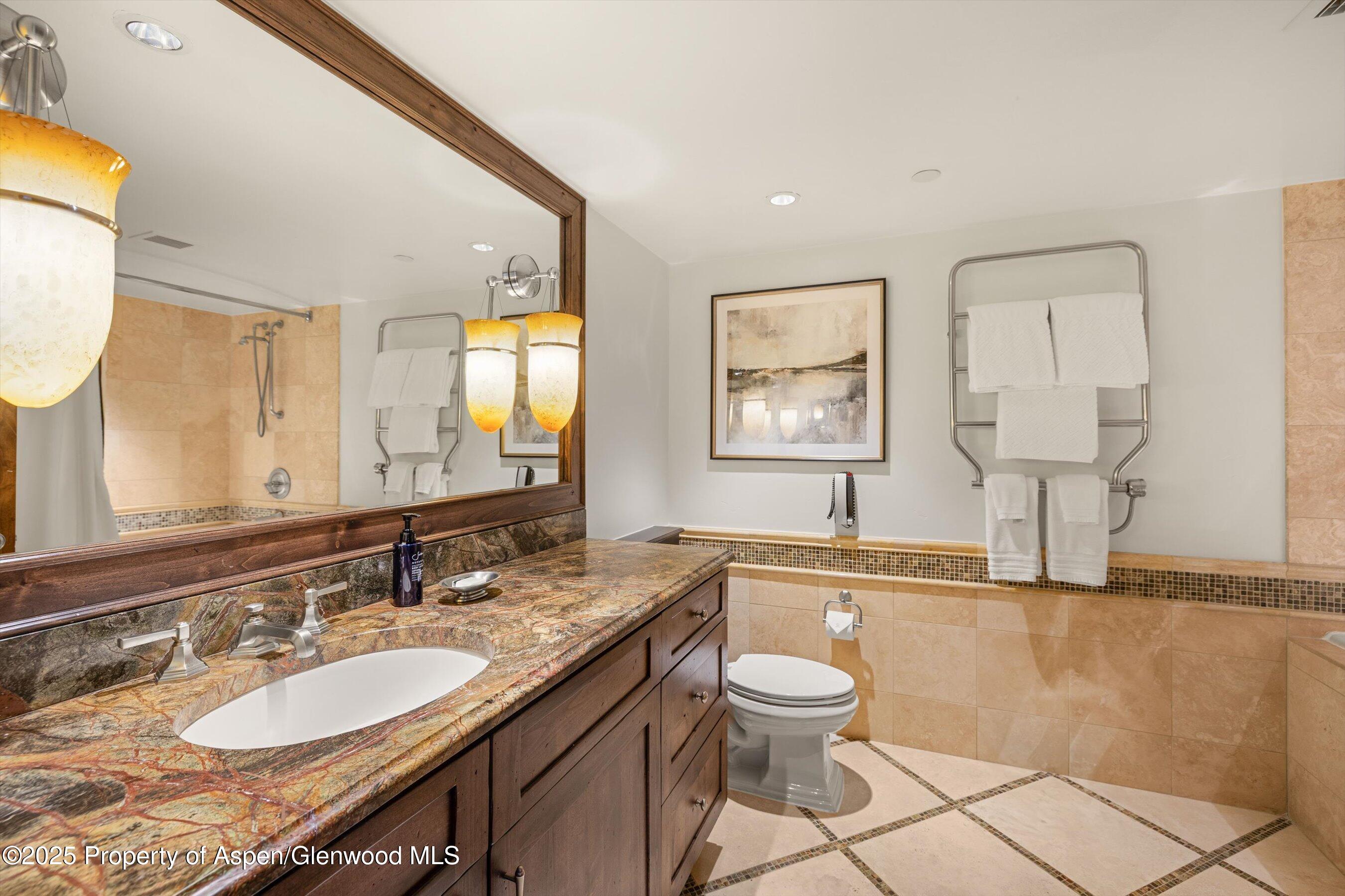315 E Dean Street Aspen CO 81611