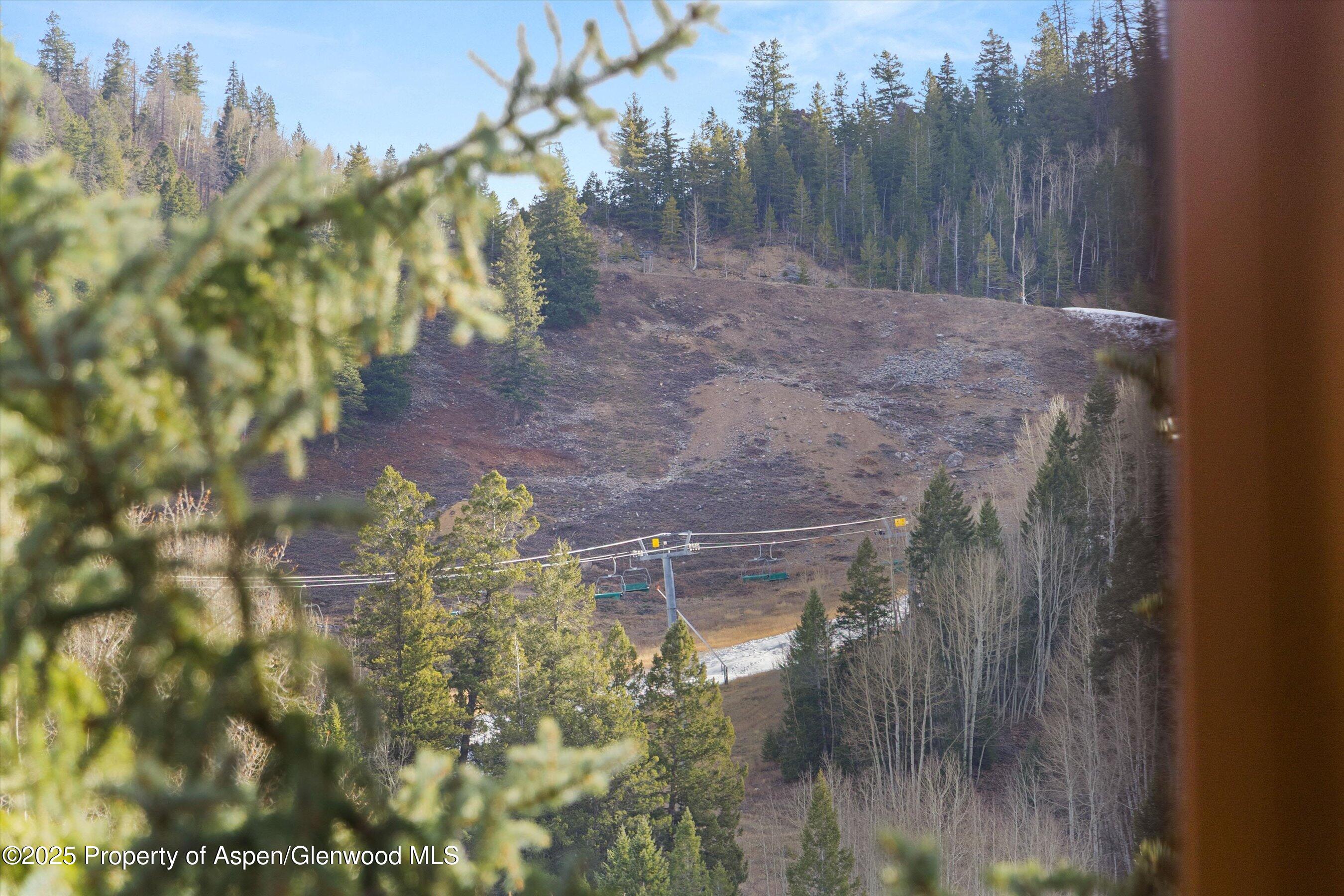 315 E Dean Street Aspen CO 81611