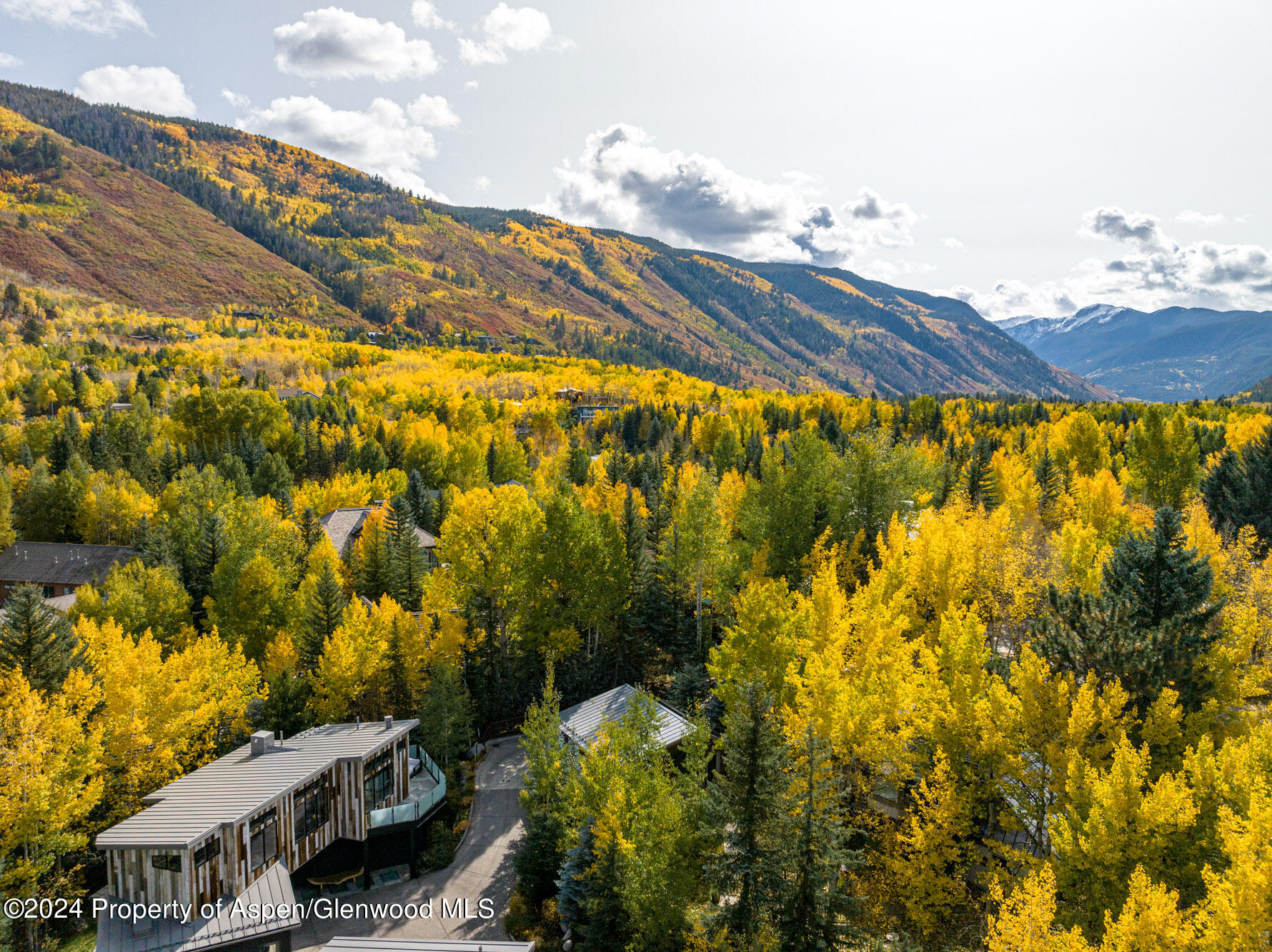 1190 Riverside Drive Aspen CO 81611