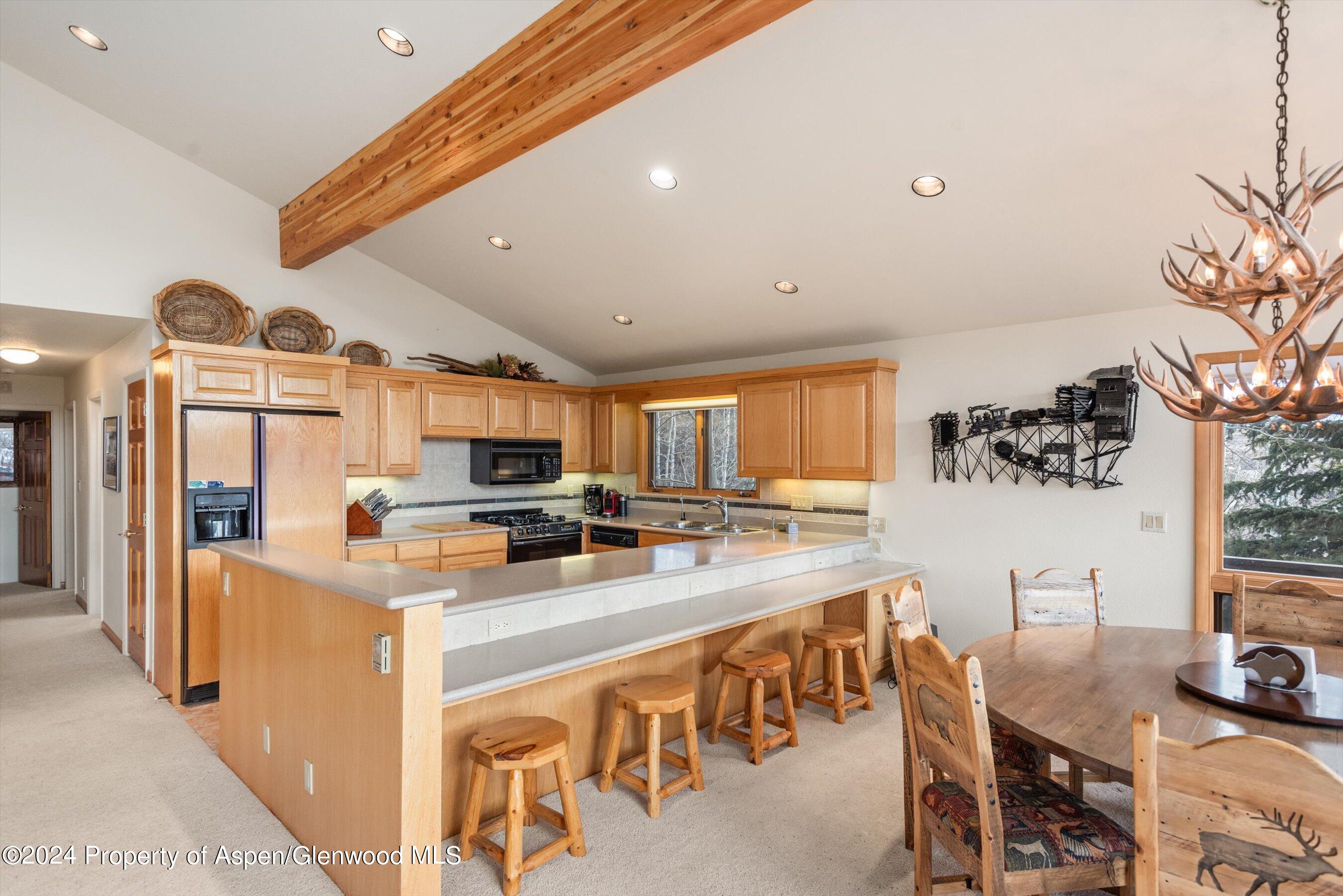 92 Wildridge Lane Snowmass Village CO 81615