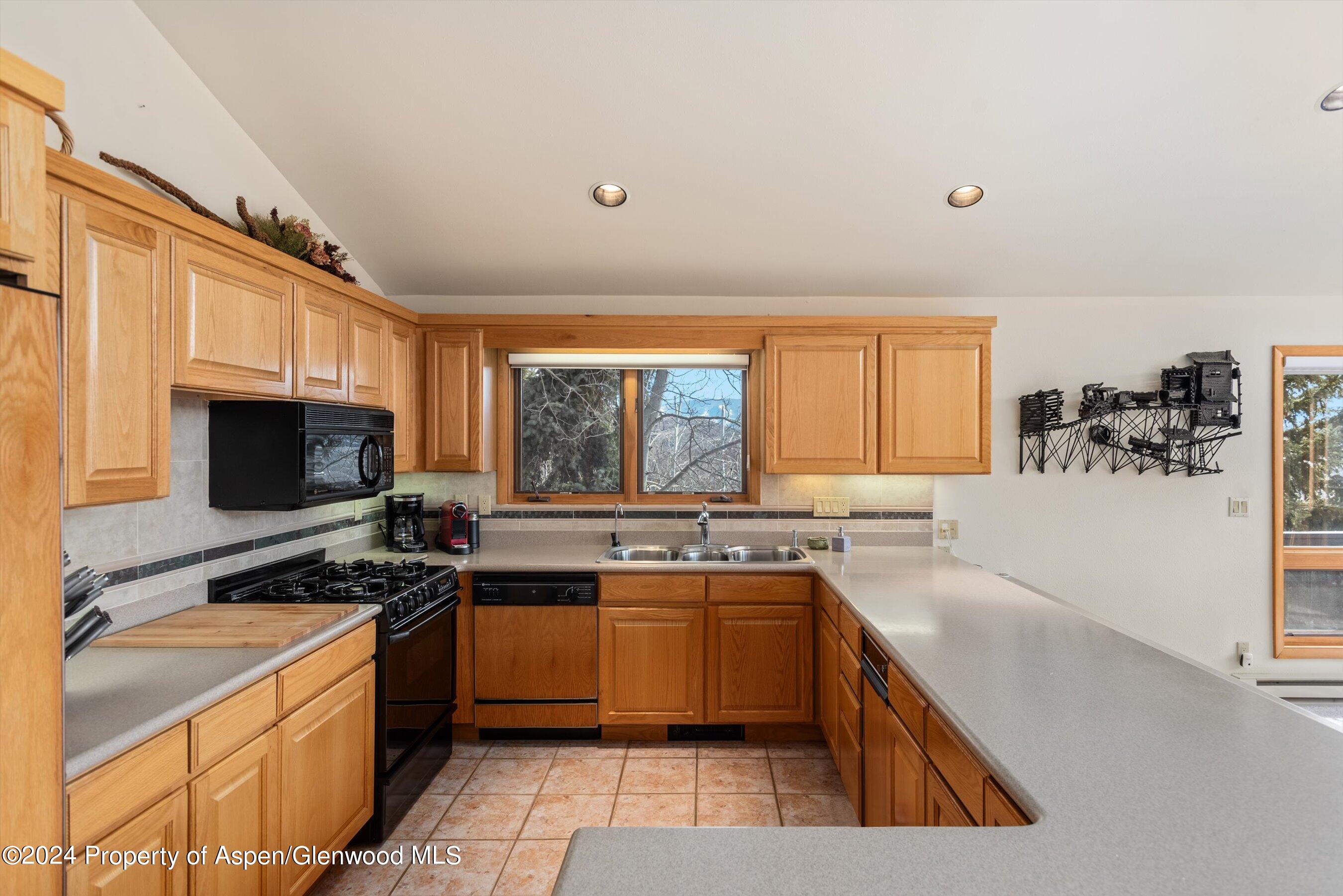 92 Wildridge Lane Snowmass Village CO 81615