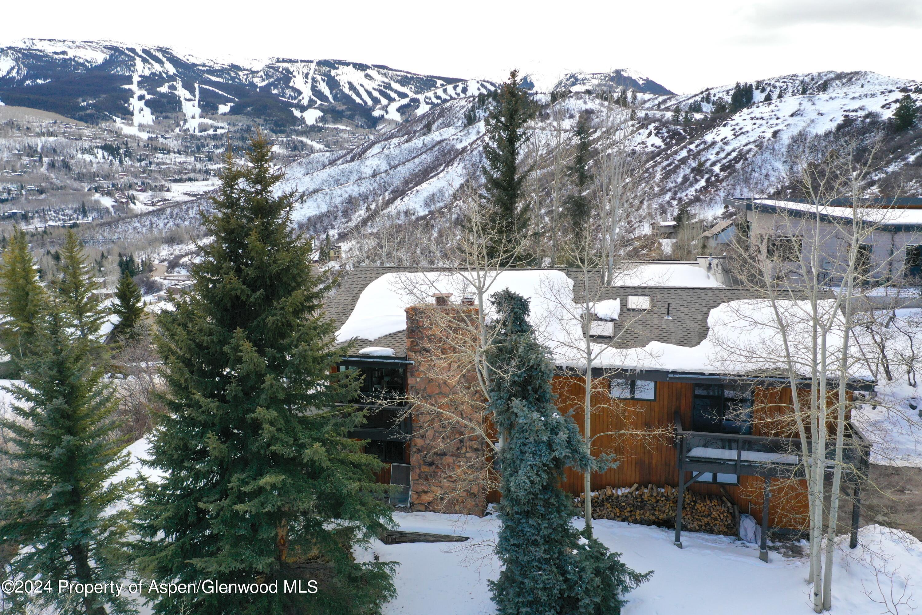 92 Wildridge Lane Snowmass Village CO 81615