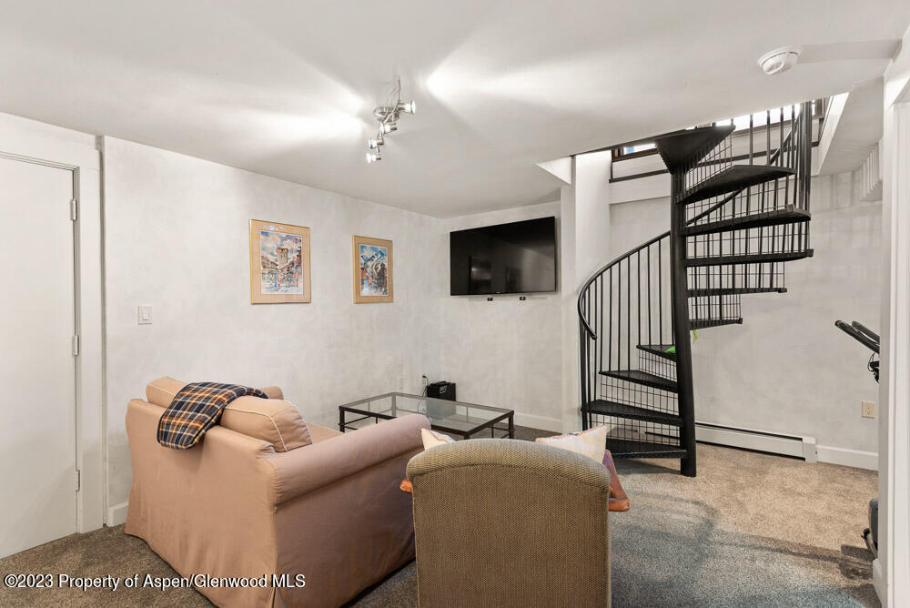 250 S Original Street Aspen CO 81611