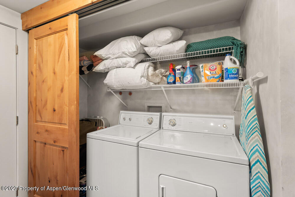 250 S Original Street Aspen CO 81611