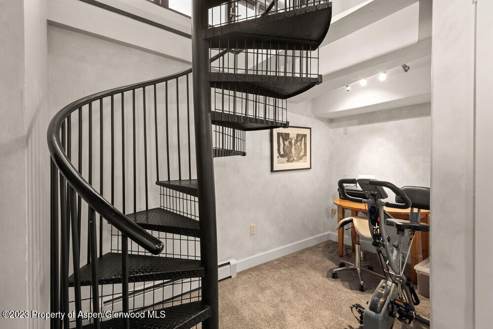 250 S Original Street Aspen CO 81611