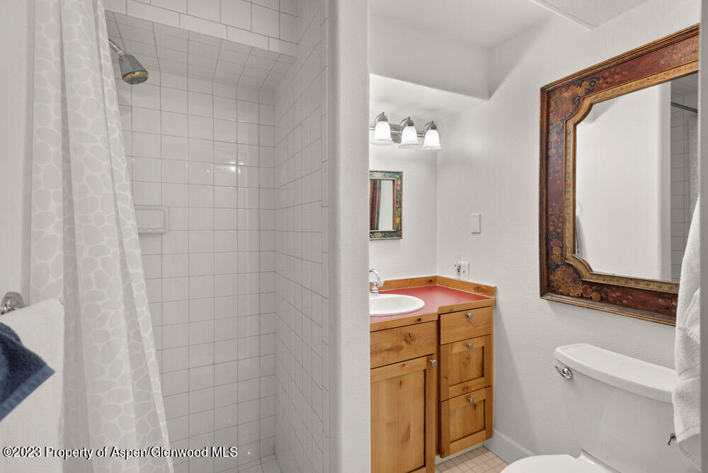 250 S Original Street Aspen CO 81611