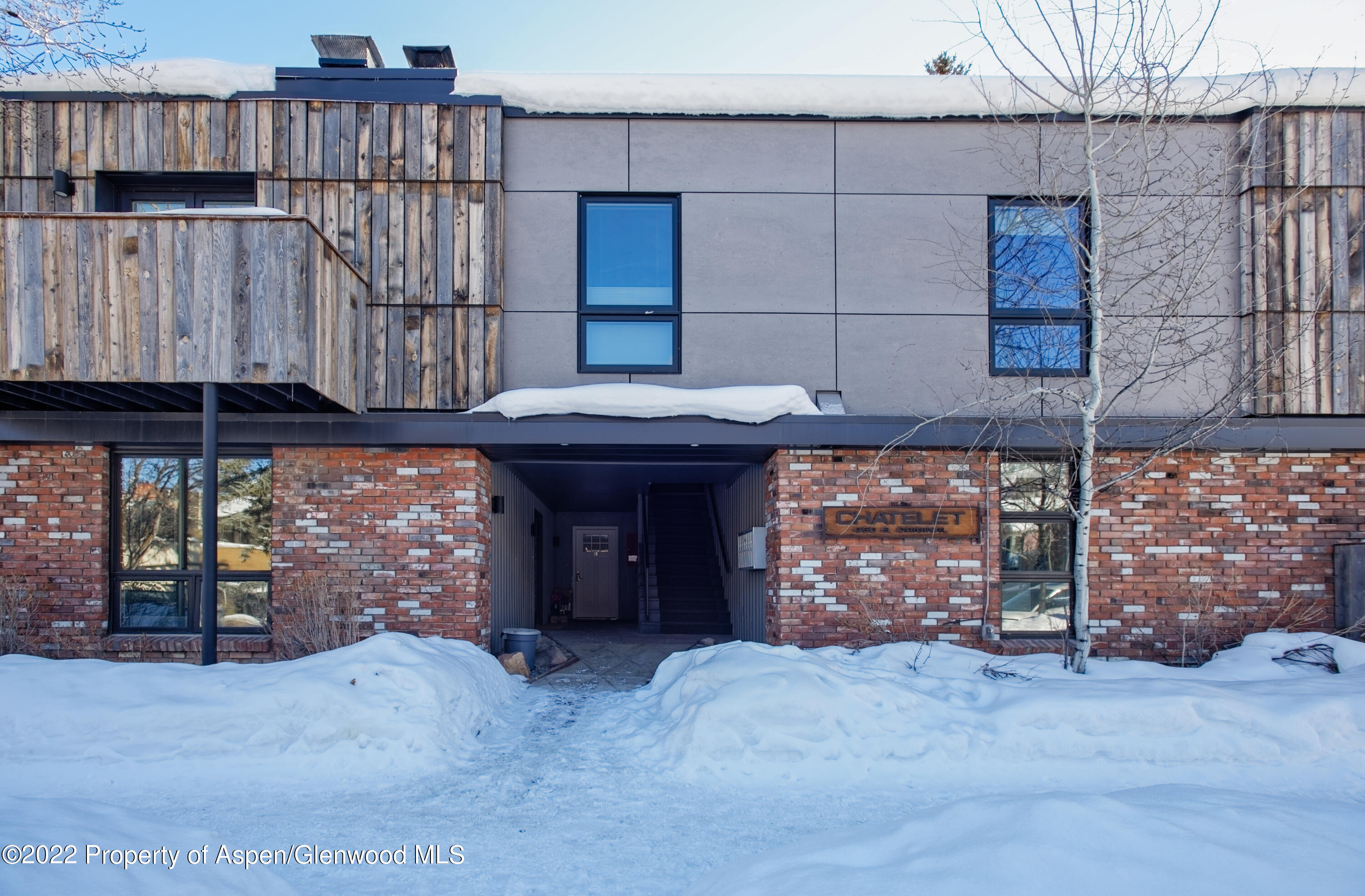 250 S Original Street Aspen CO 81611