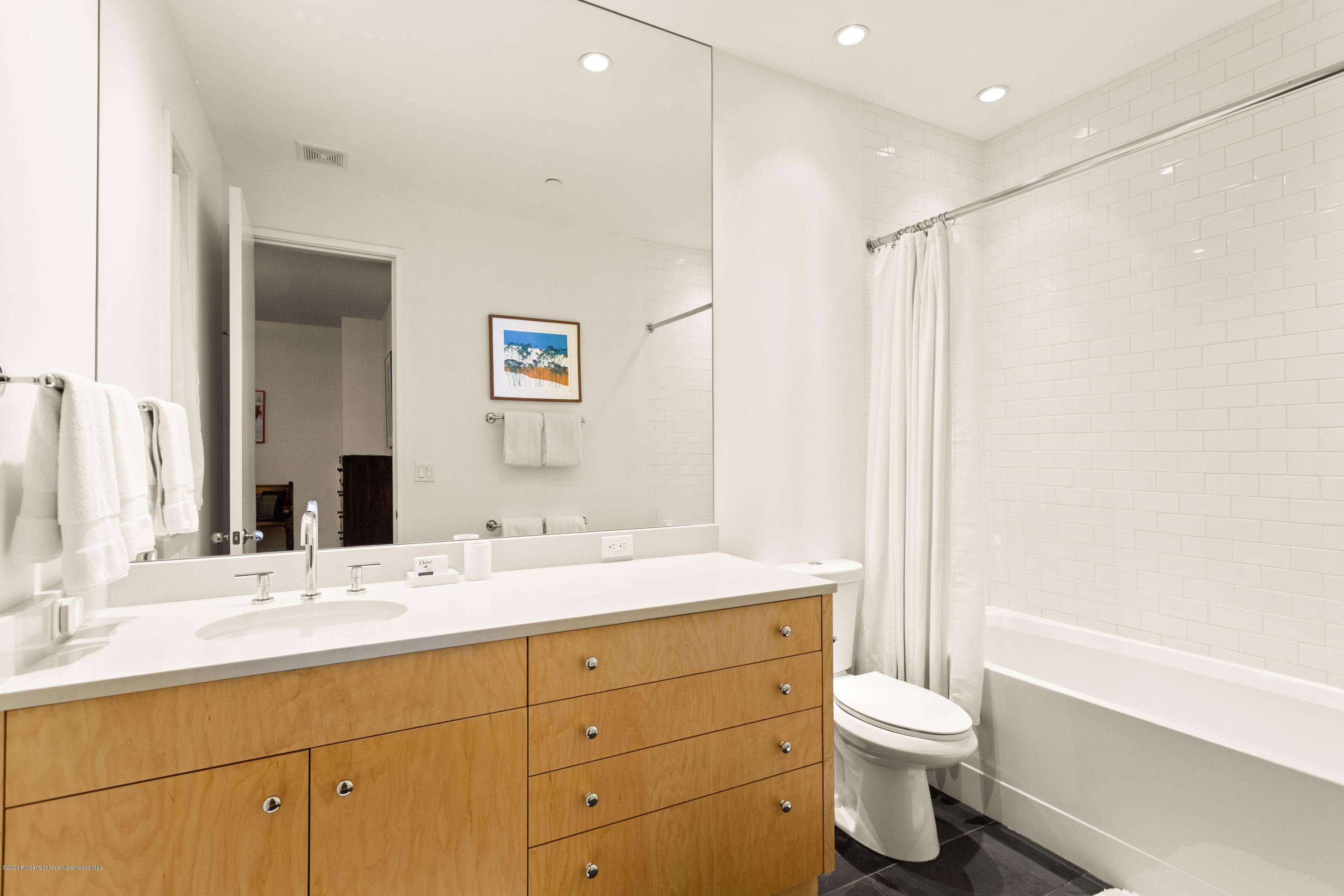 129 E Hopkins Avenue Aspen CO 81611