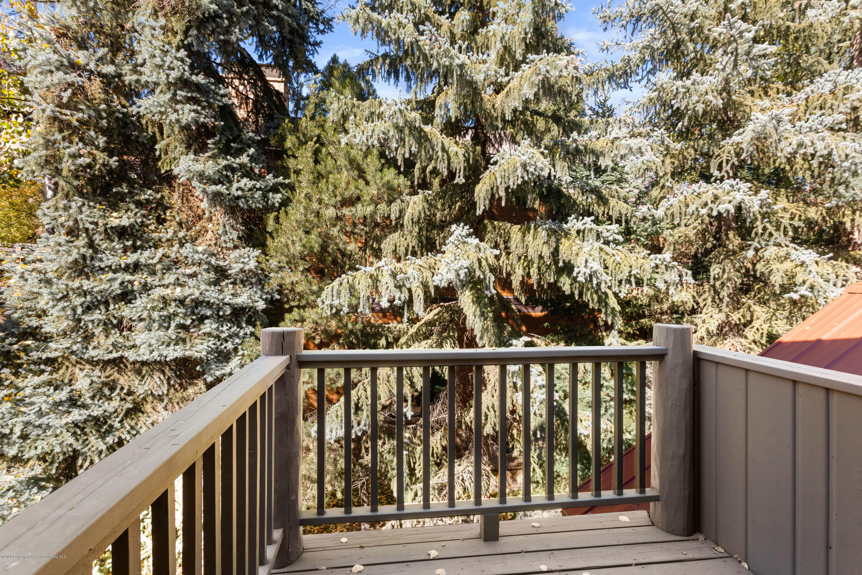 129 E Hopkins Avenue Aspen CO 81611