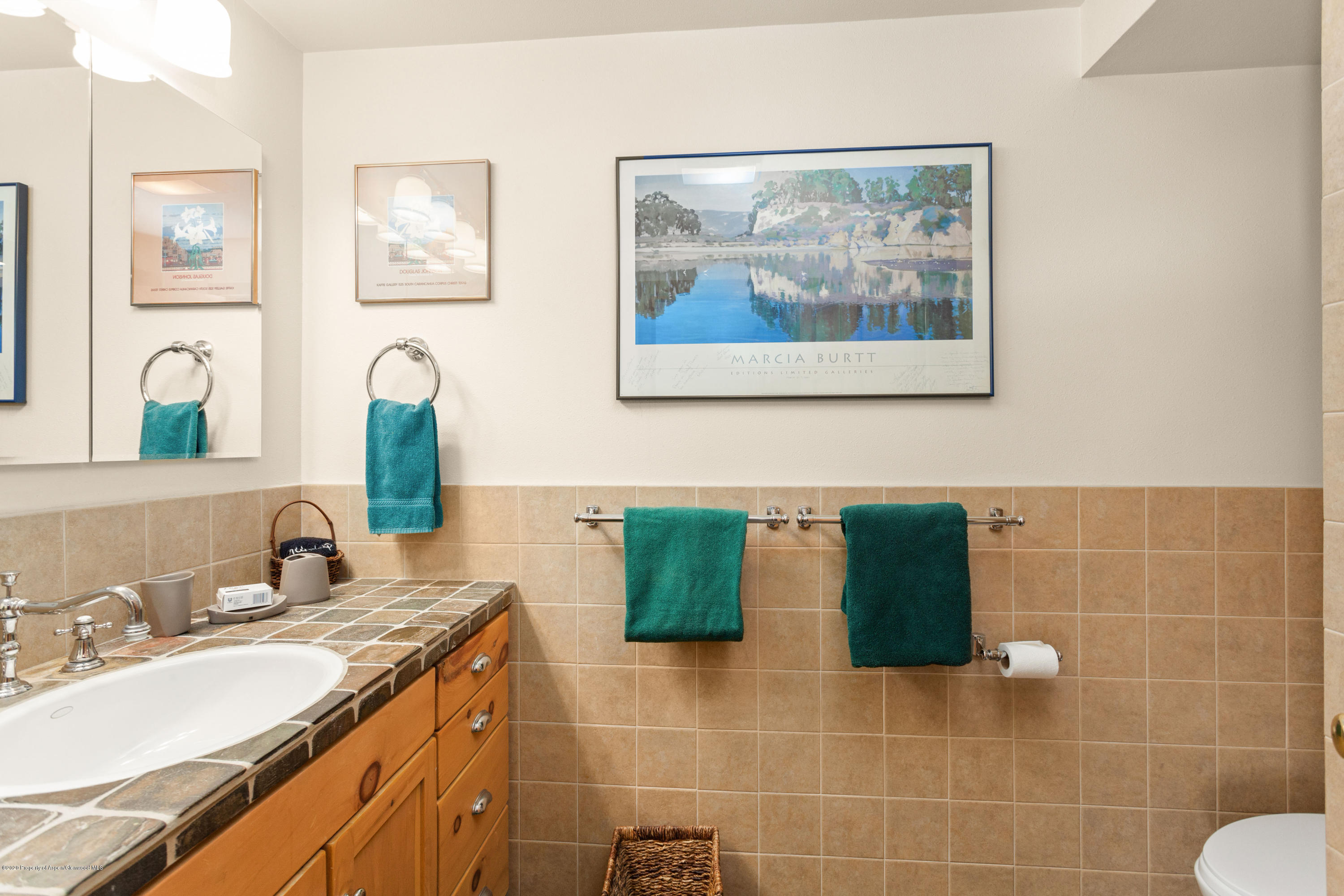 129 E Hopkins Avenue Aspen CO 81611