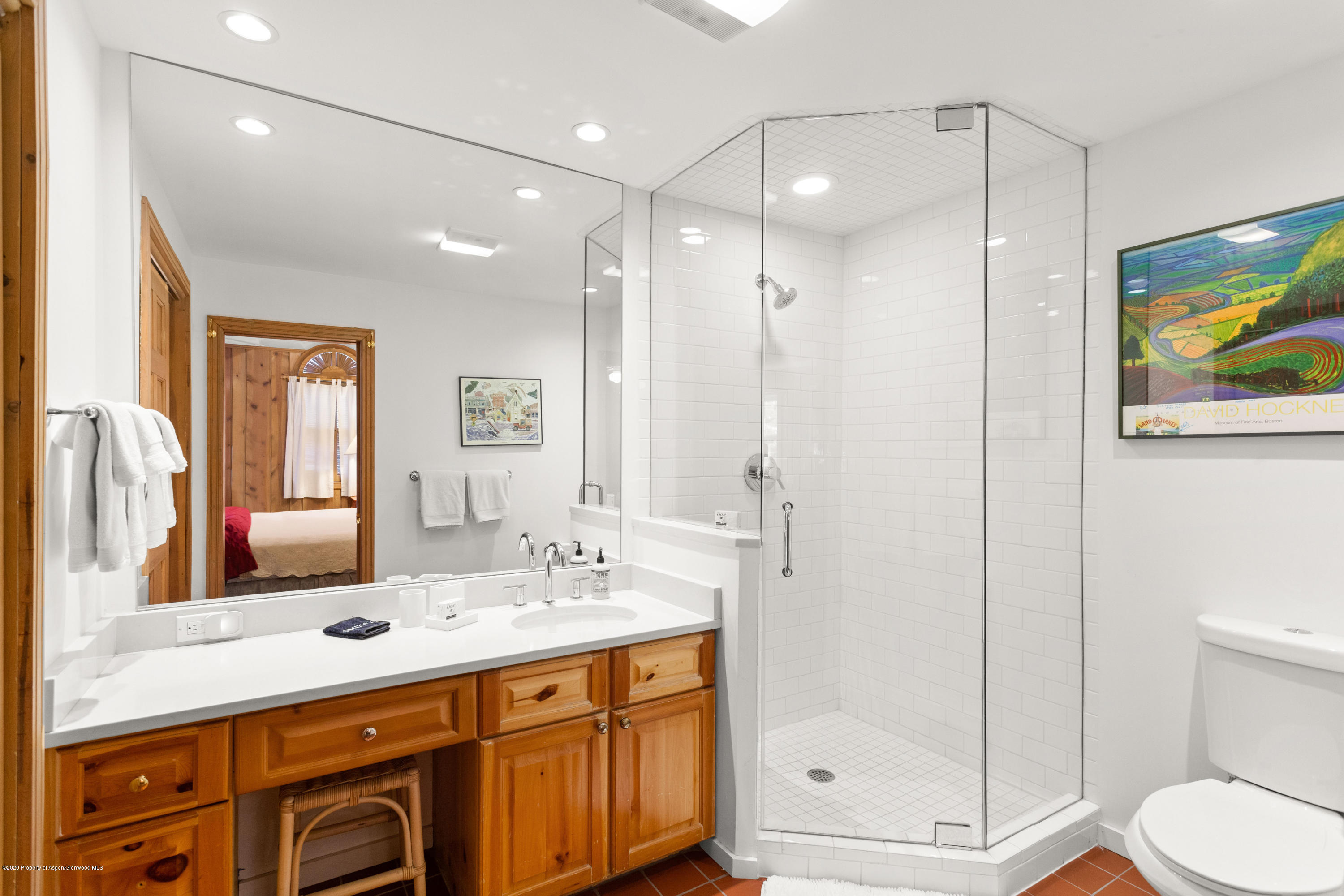 129 E Hopkins Avenue Aspen CO 81611