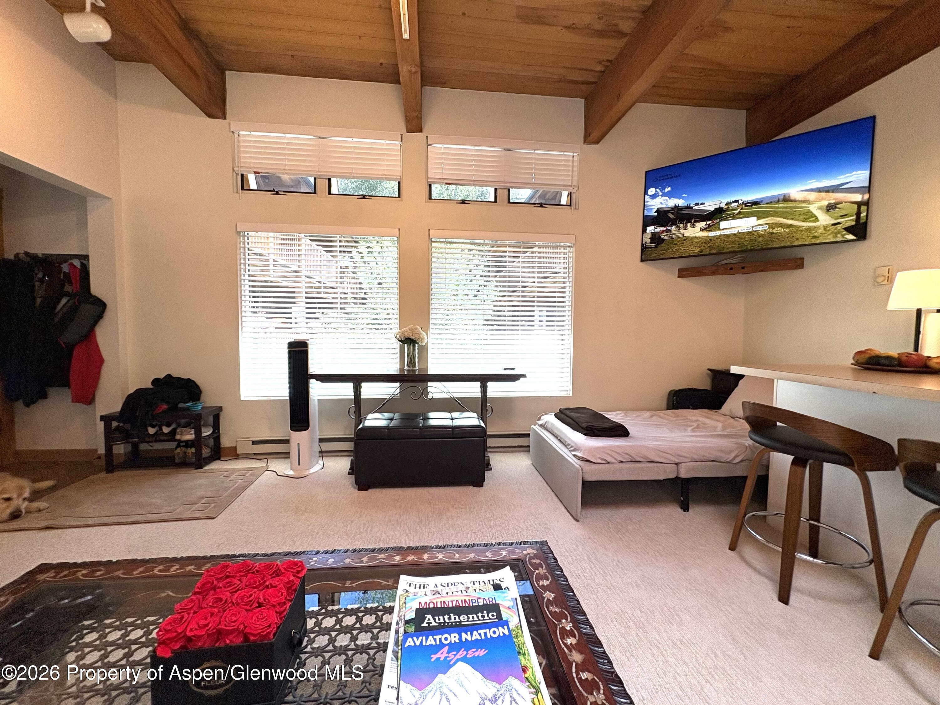 914 Waters Avenue Aspen CO 81611