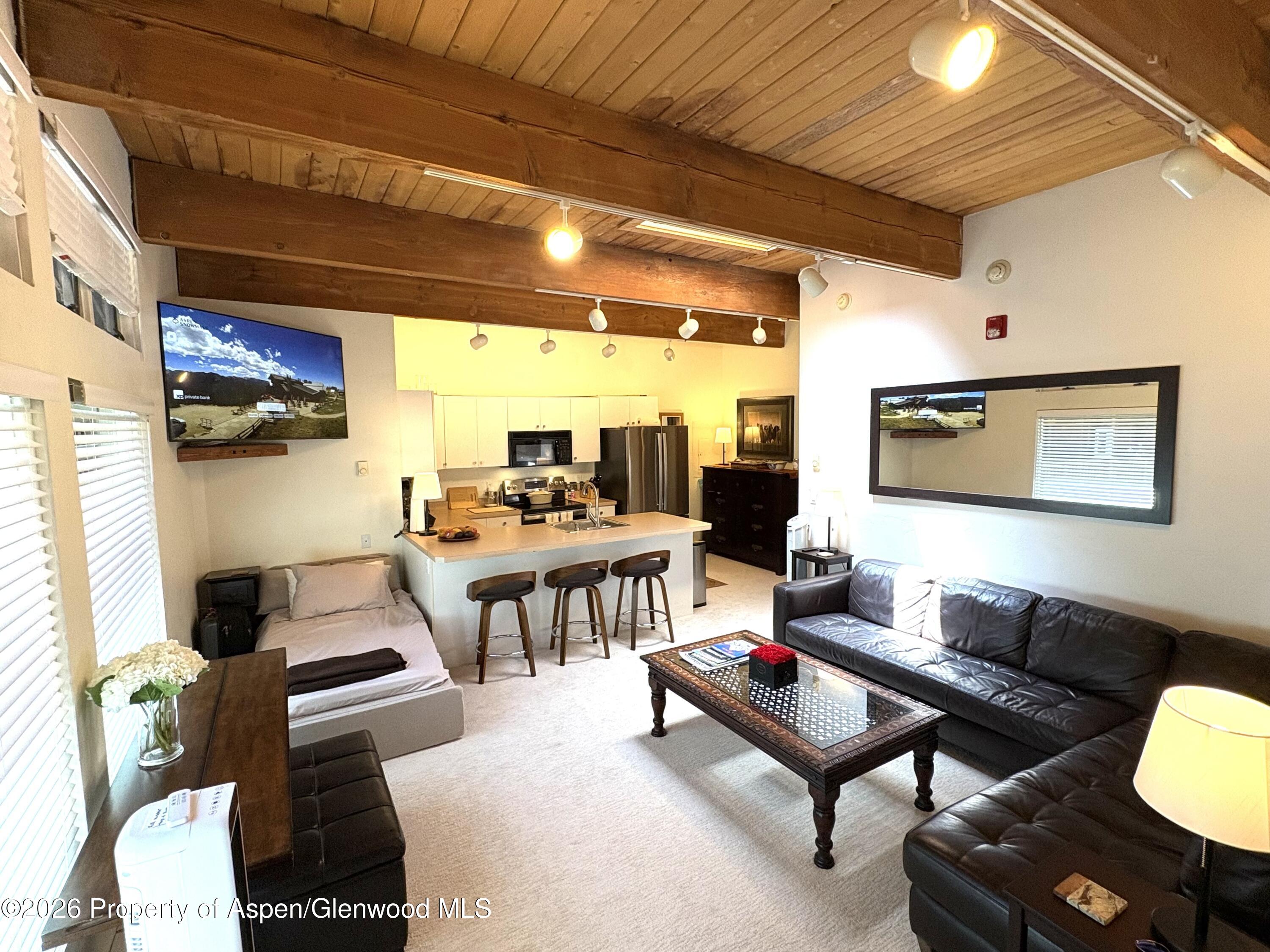 914 Waters Avenue Aspen CO 81611