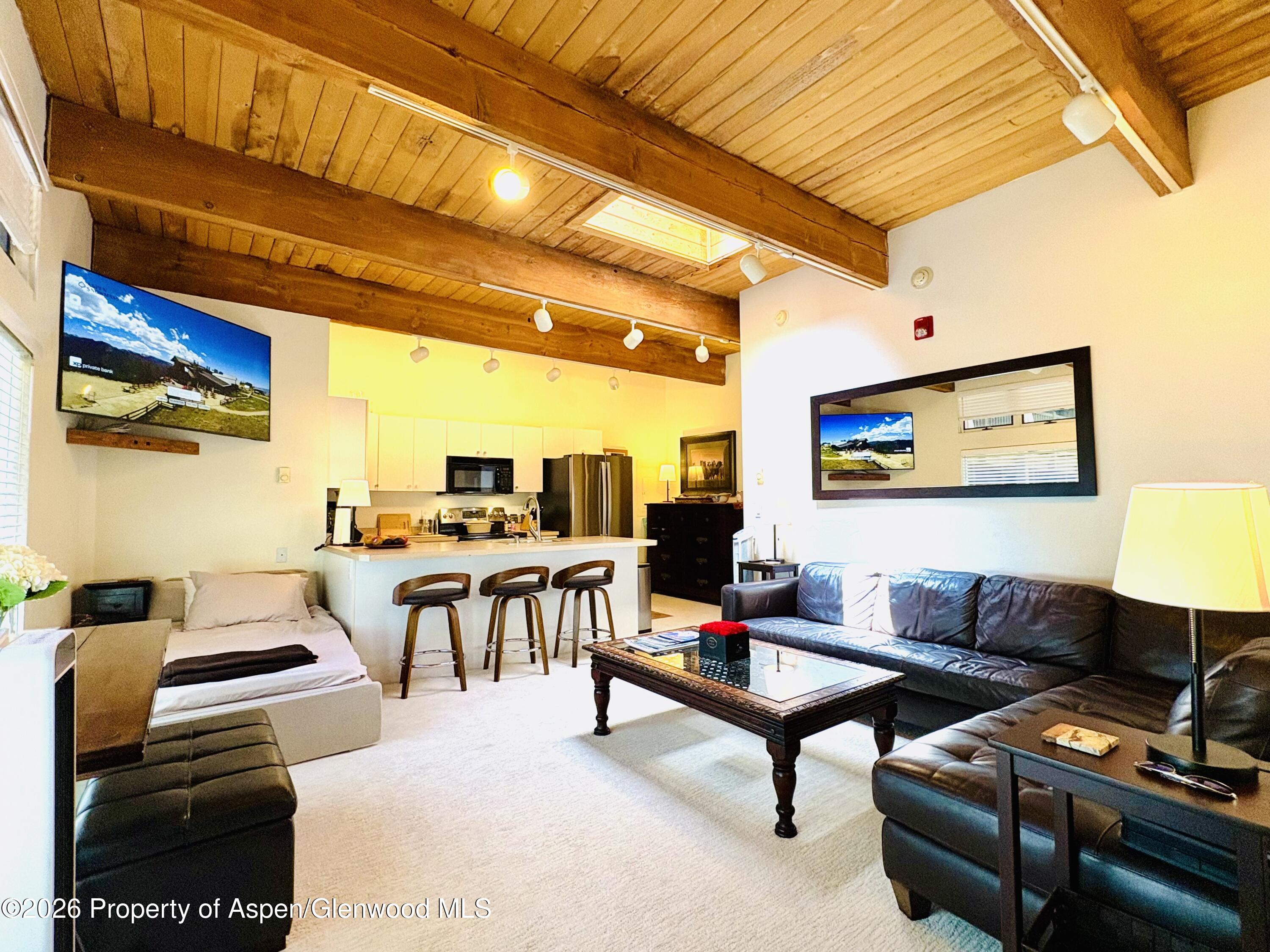914 Waters Avenue Aspen CO 81611