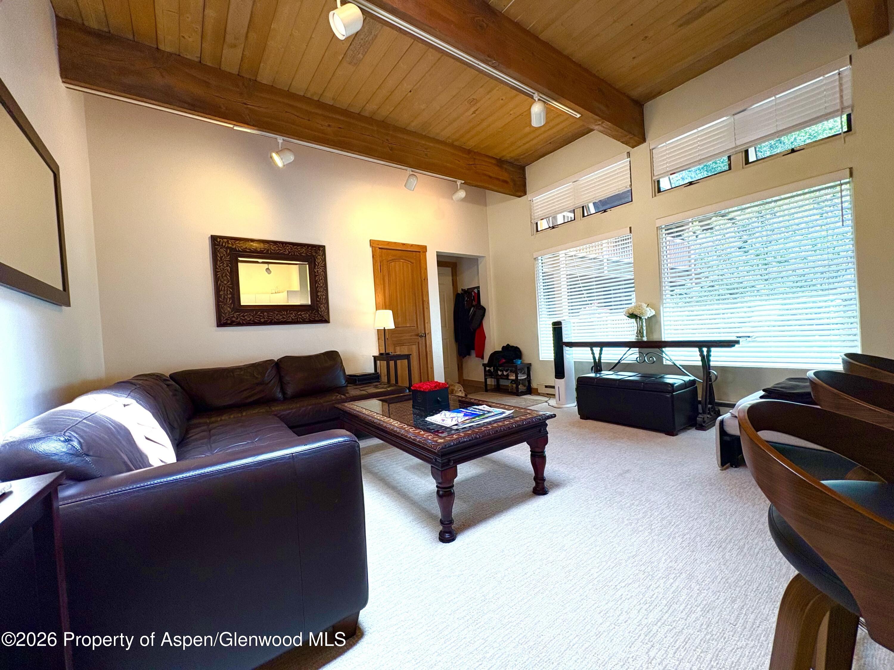 914 Waters Avenue Aspen CO 81611
