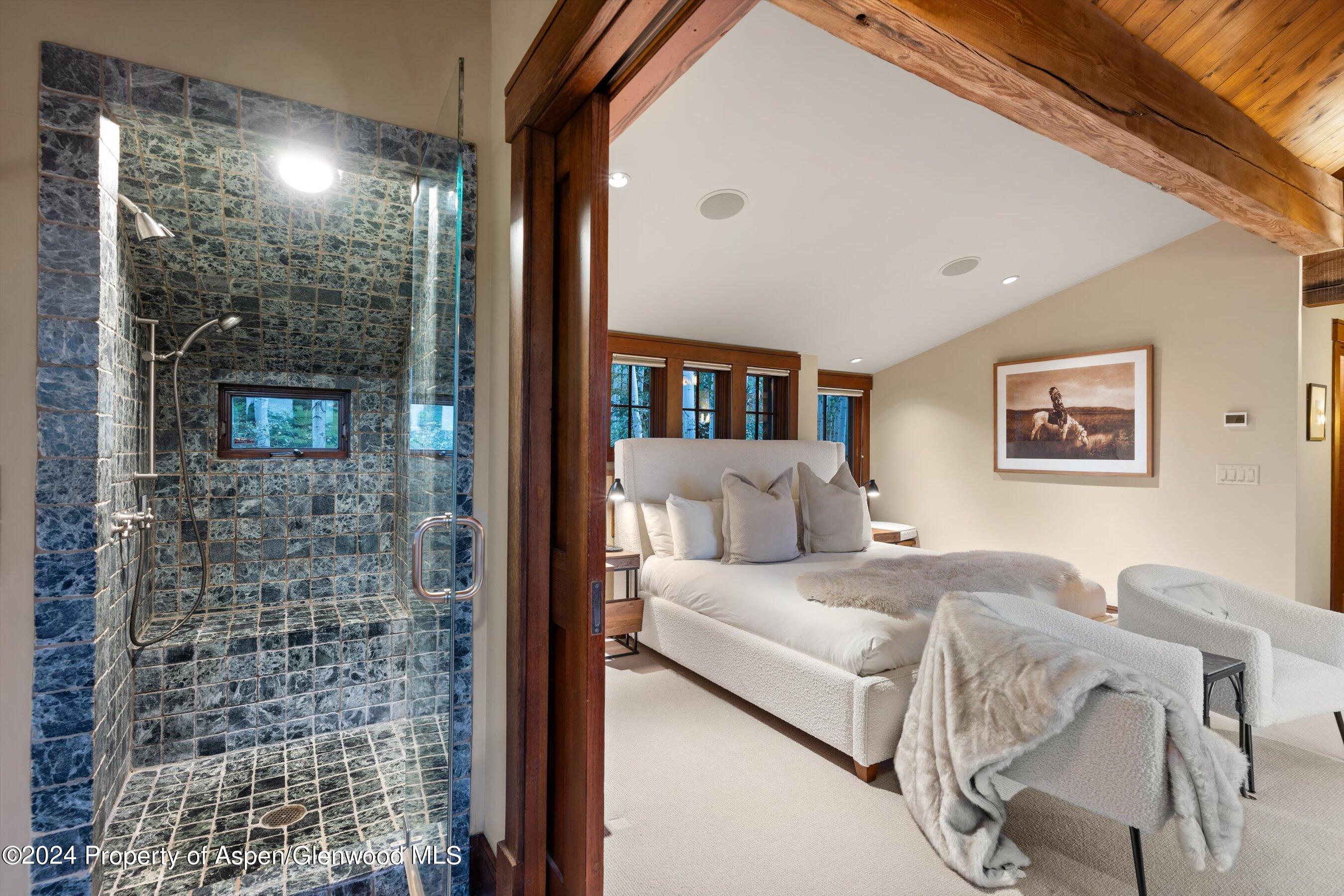 1021 Two Creeks Drive Snowmass Village CO 81615