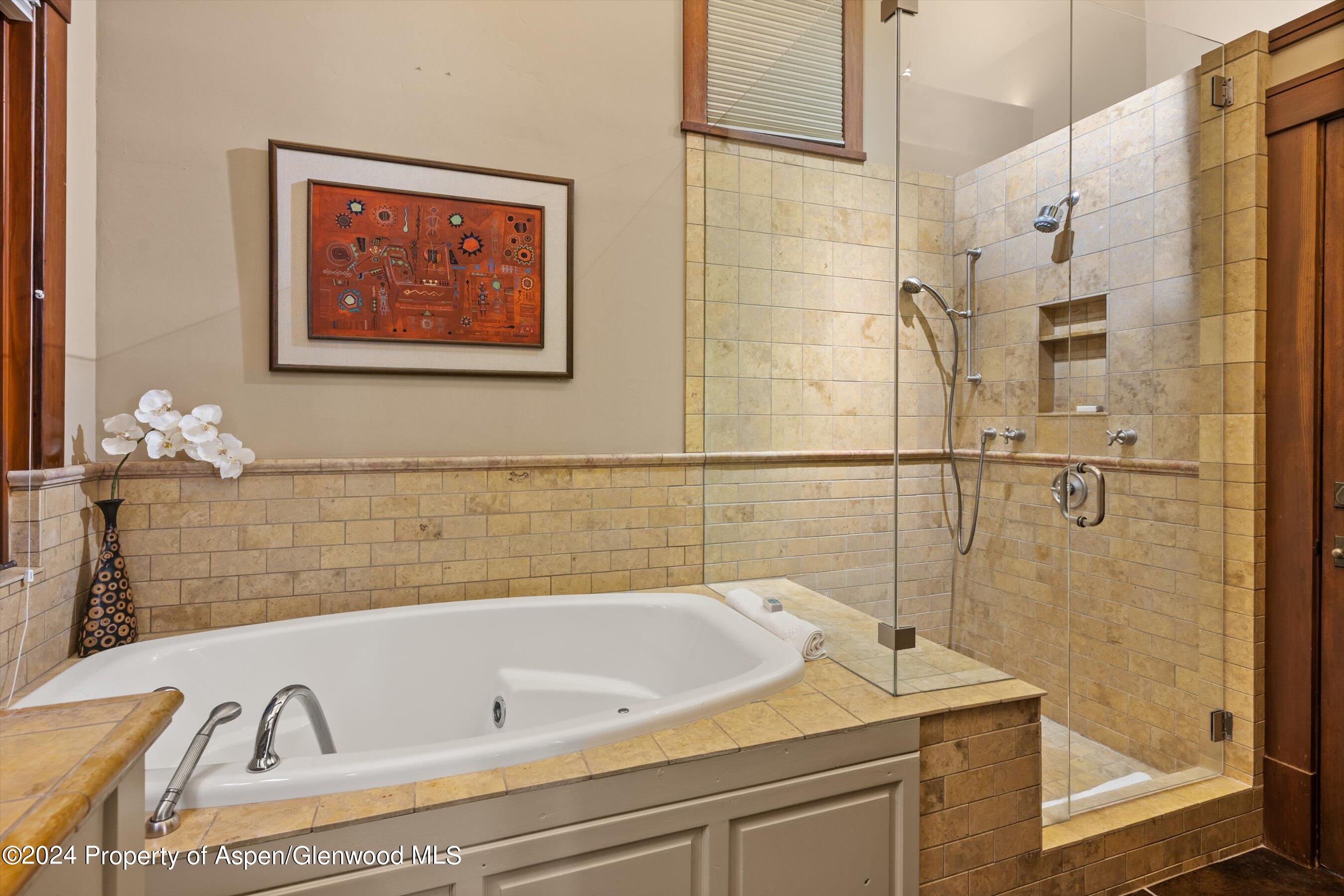 1021 Two Creeks Drive Snowmass Village CO 81615