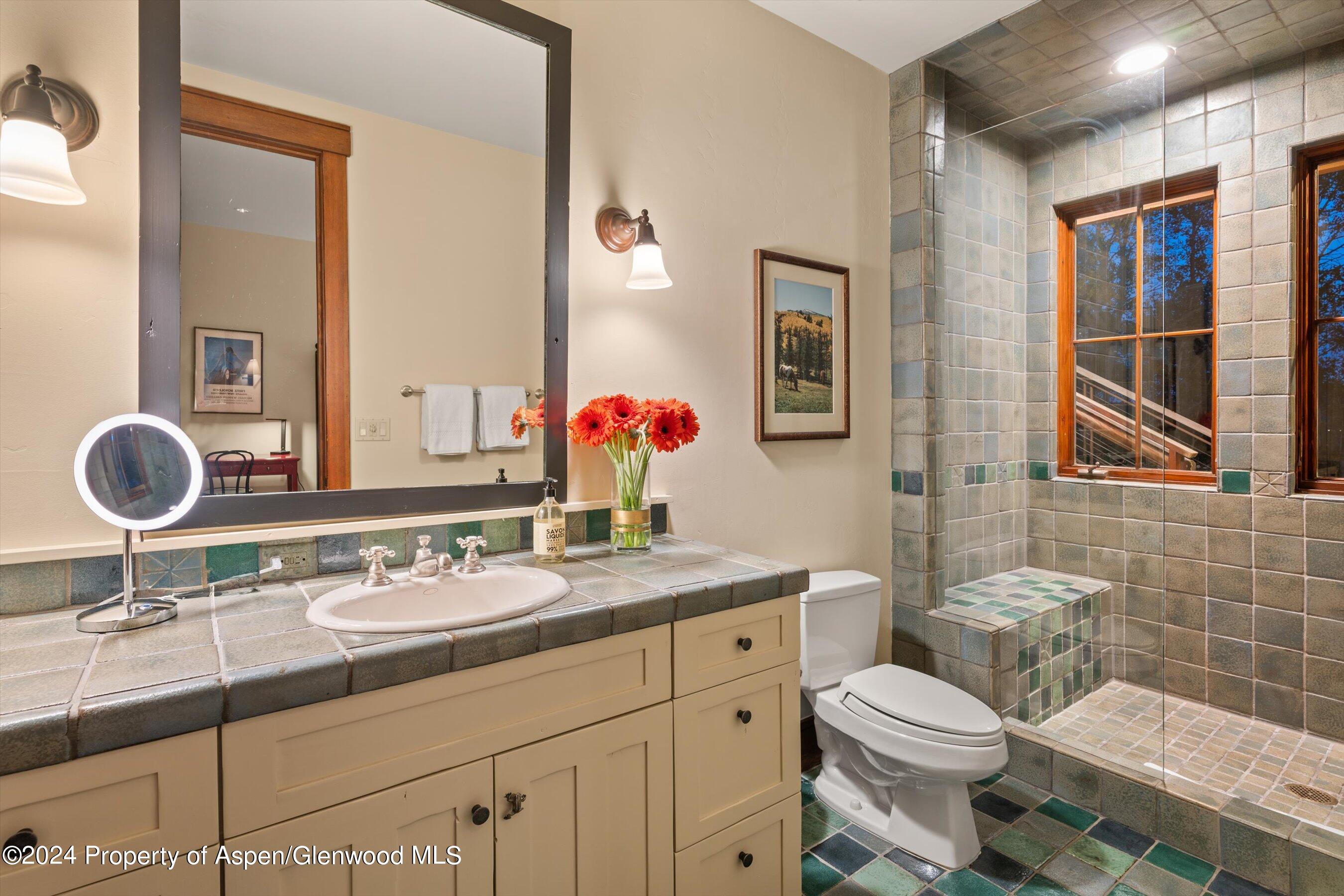 1021 Two Creeks Drive Snowmass Village CO 81615