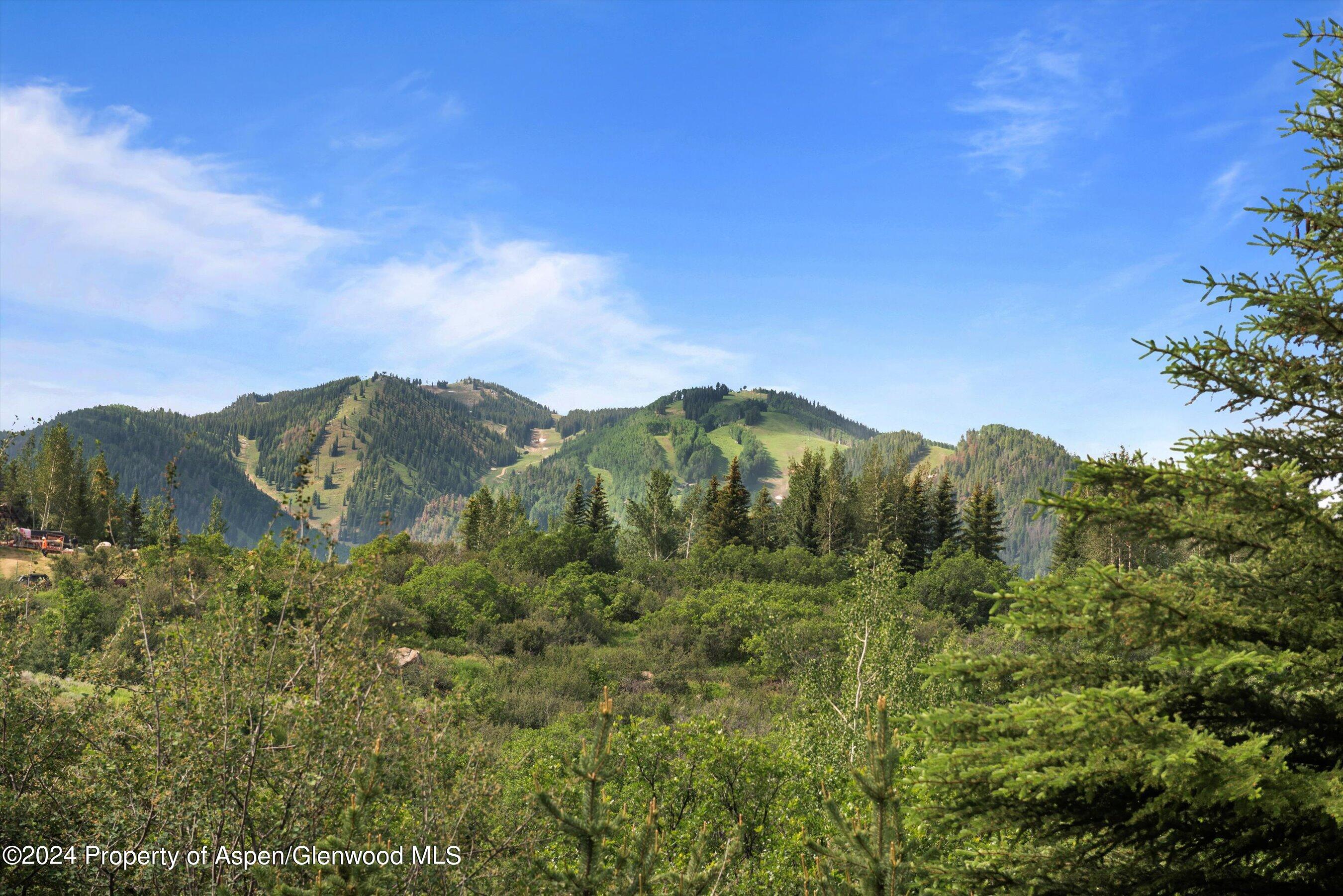 27 Nighthawk Drive Aspen CO 81611