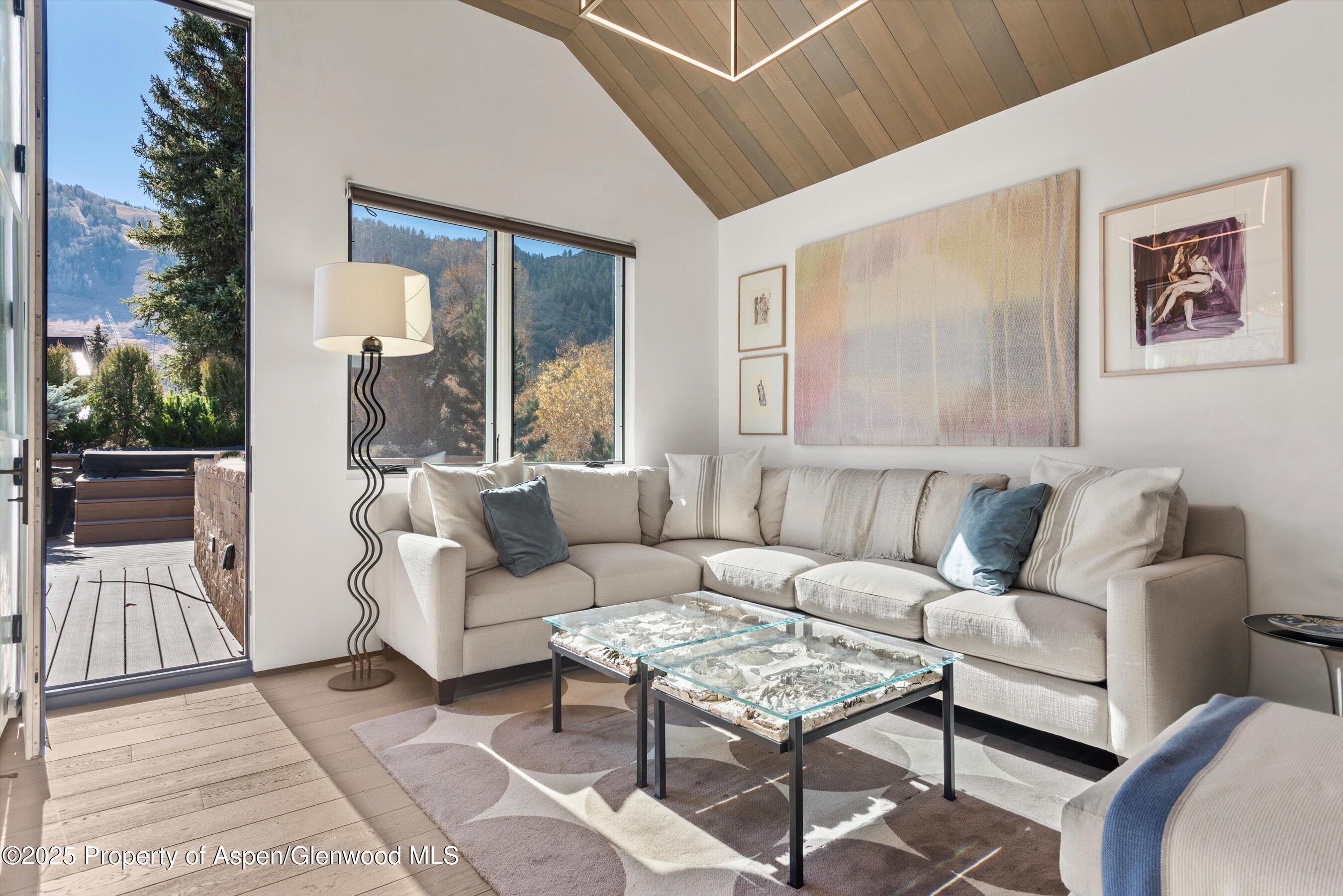 219 N Monarch Street Aspen CO 81611