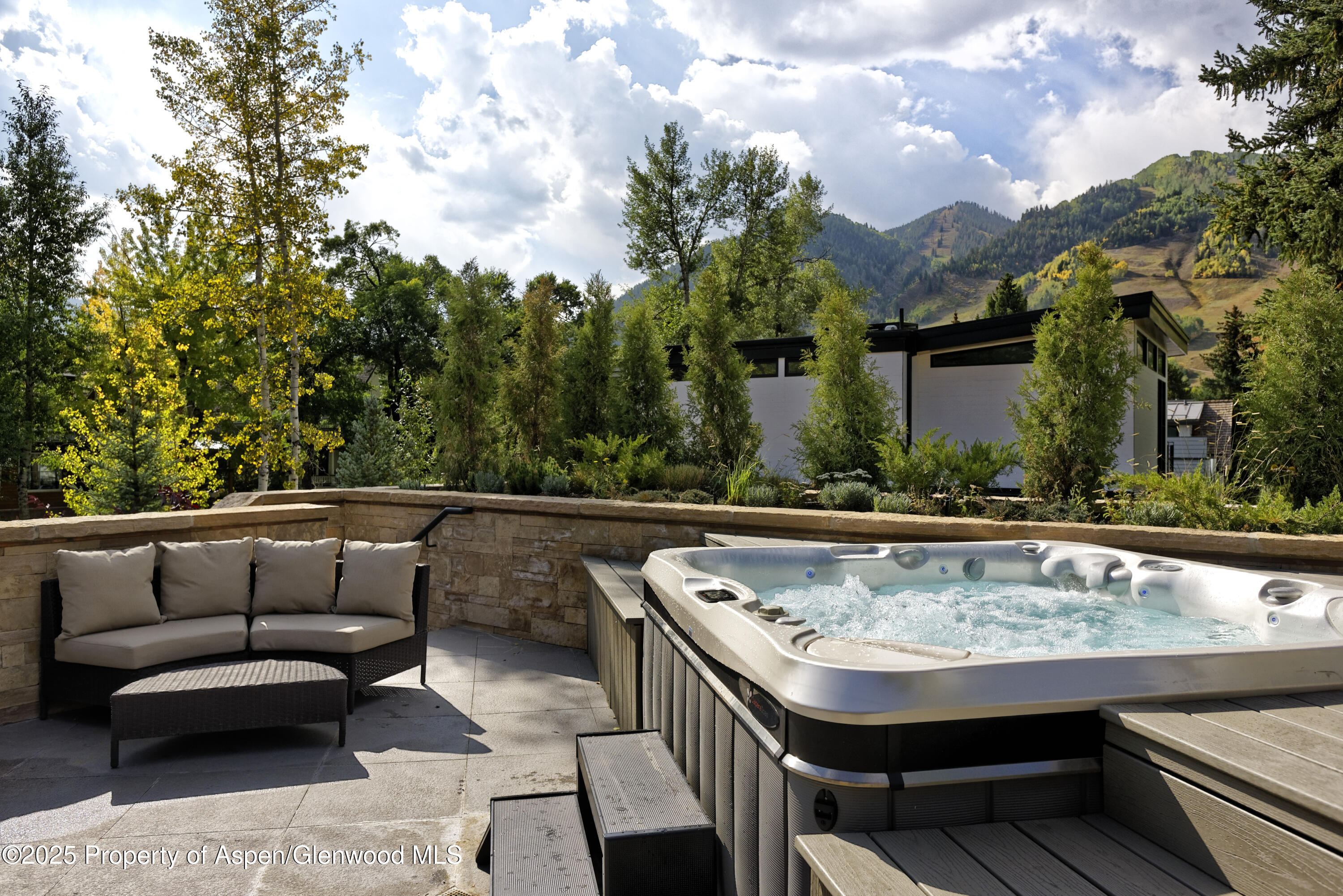 219 N Monarch Street Aspen CO 81611