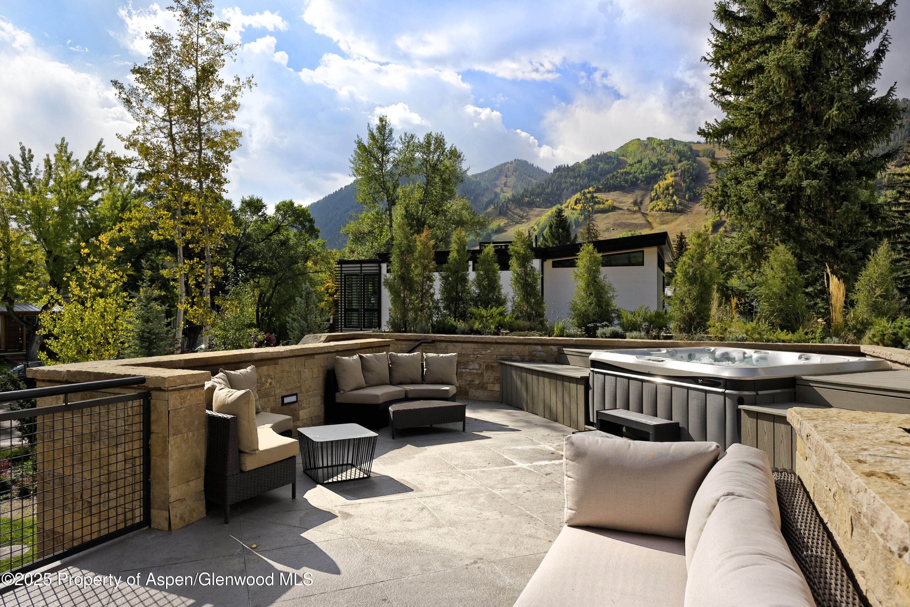 219 N Monarch Street Aspen CO 81611