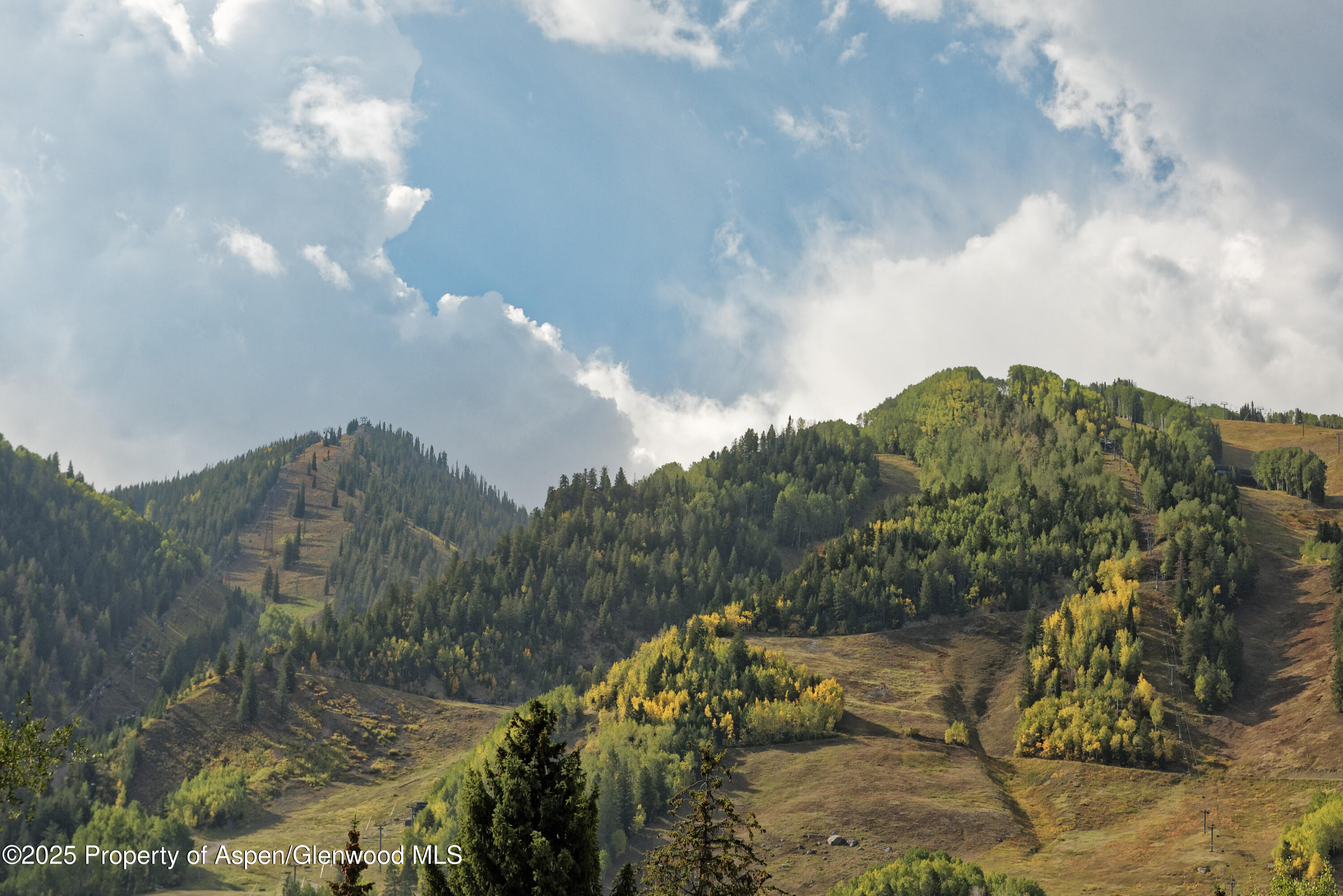 219 N Monarch Street Aspen CO 81611