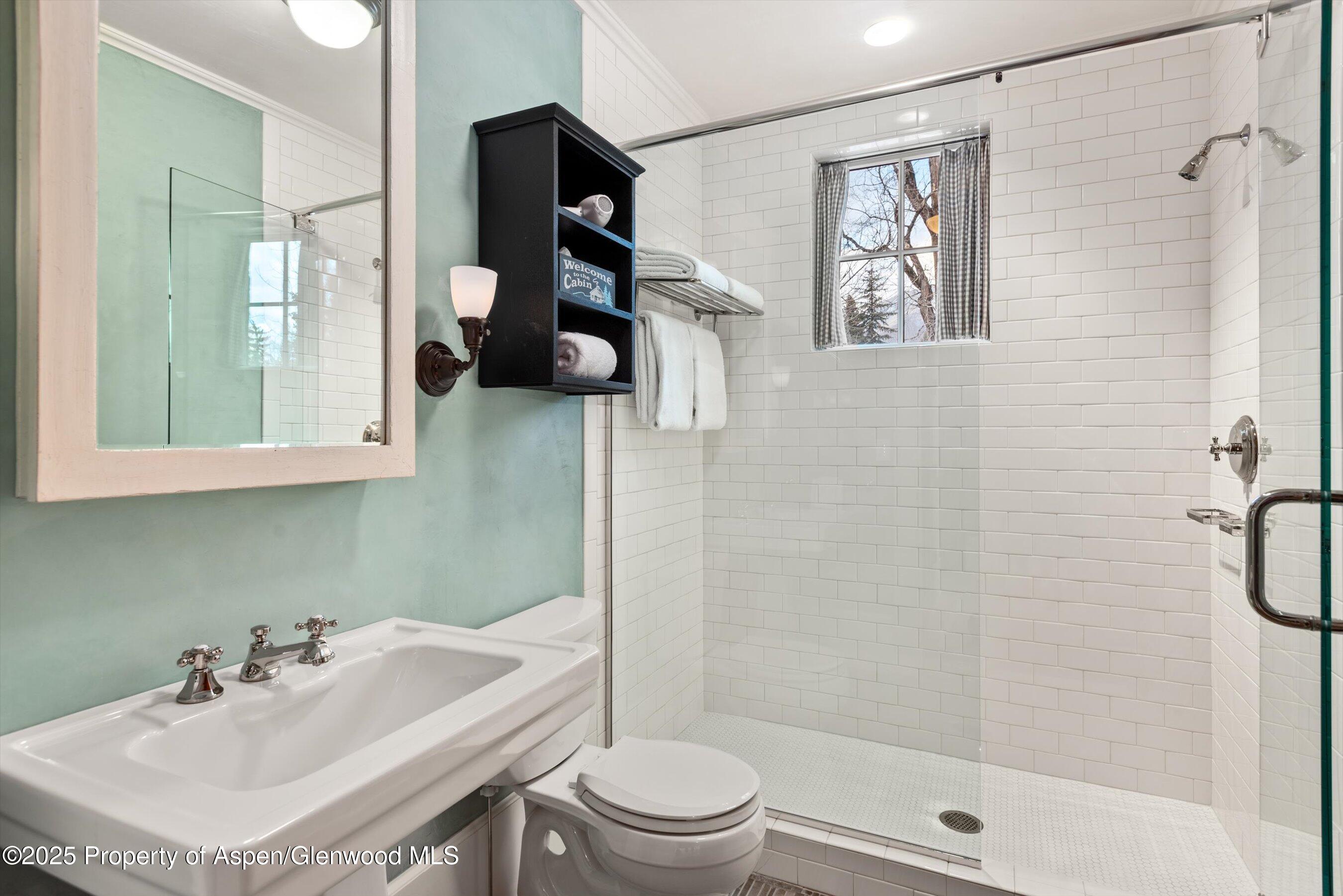 304 S Garmisch Street Aspen CO 81611