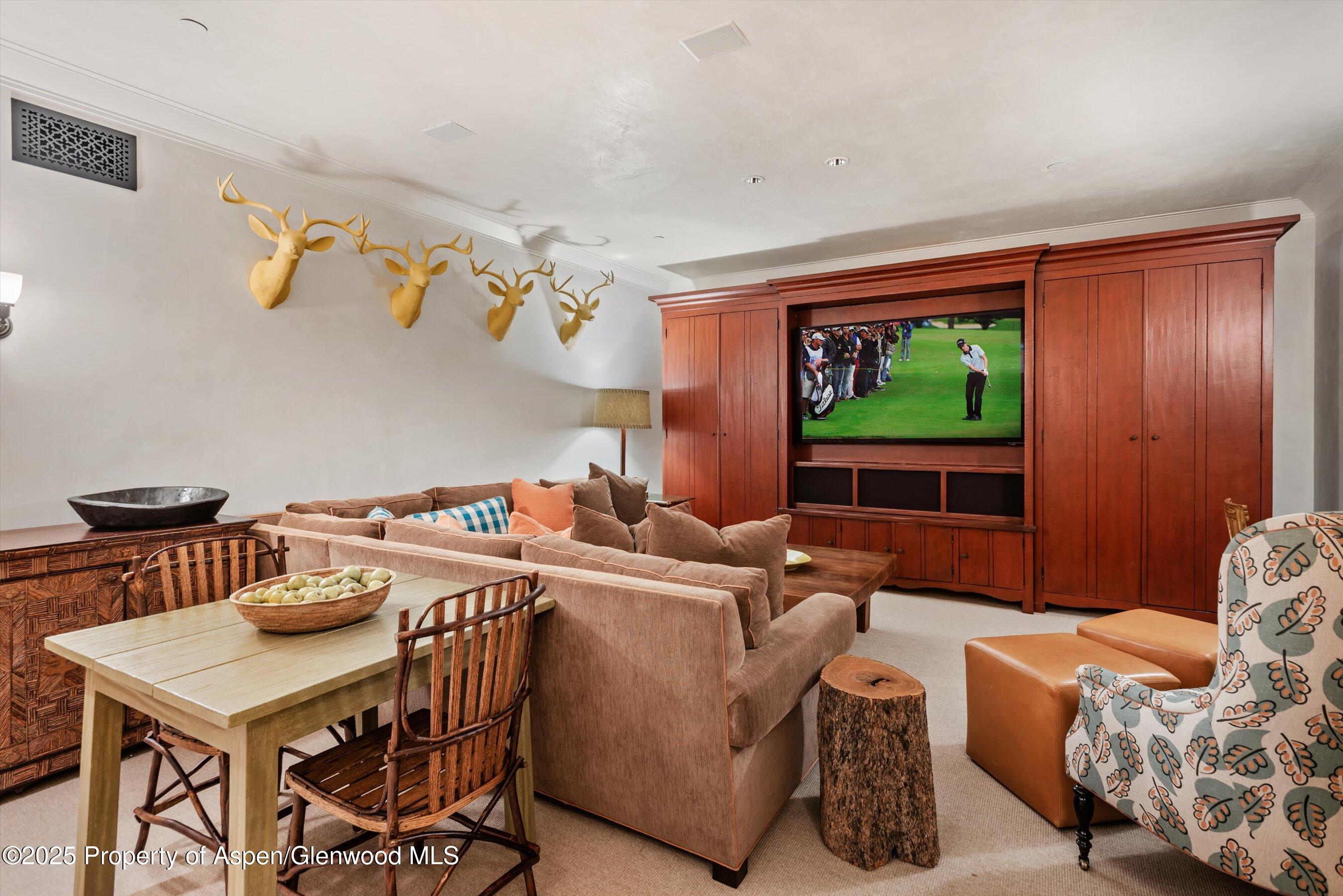 304 S Garmisch Street Aspen CO 81611