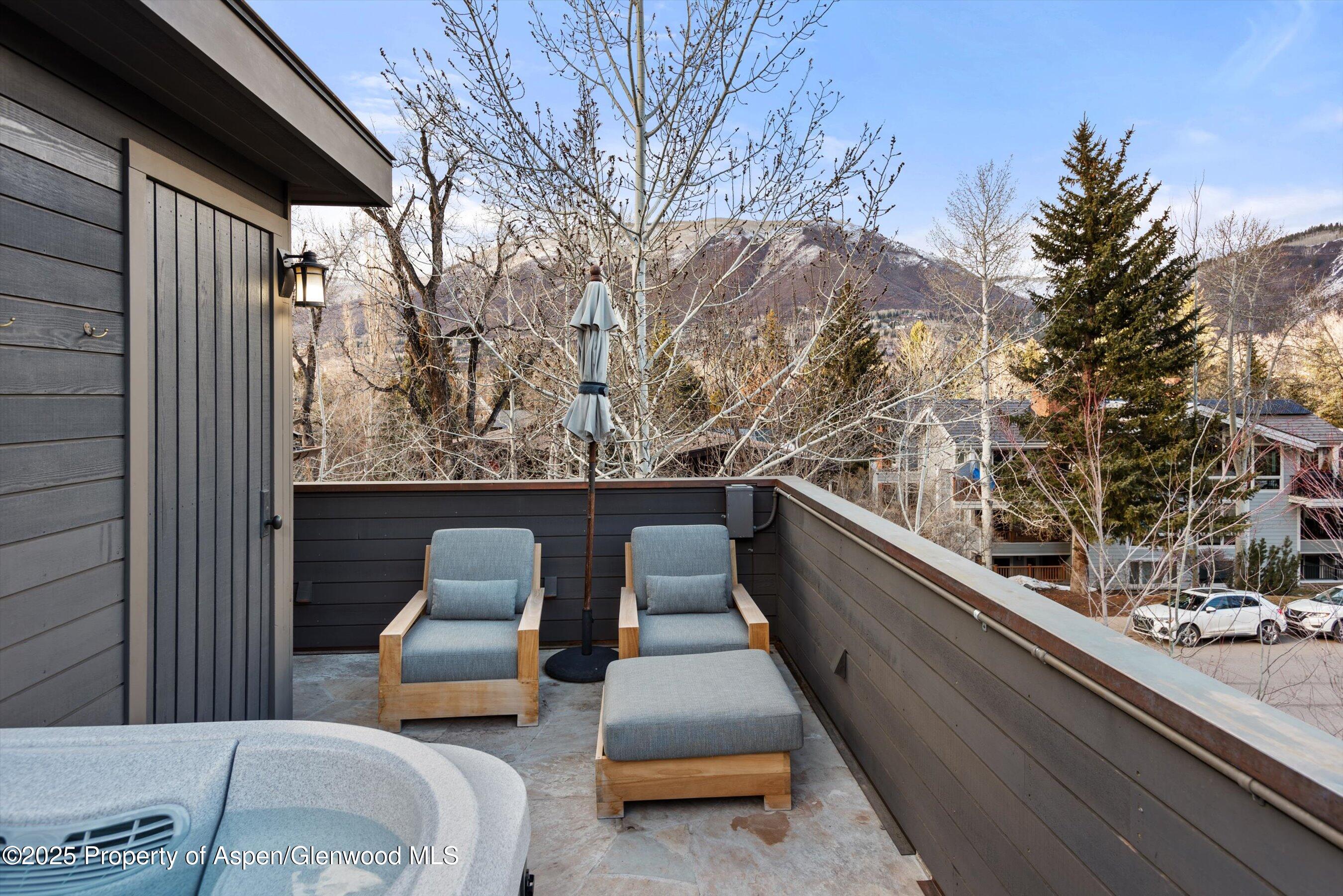 304 S Garmisch Street Aspen CO 81611