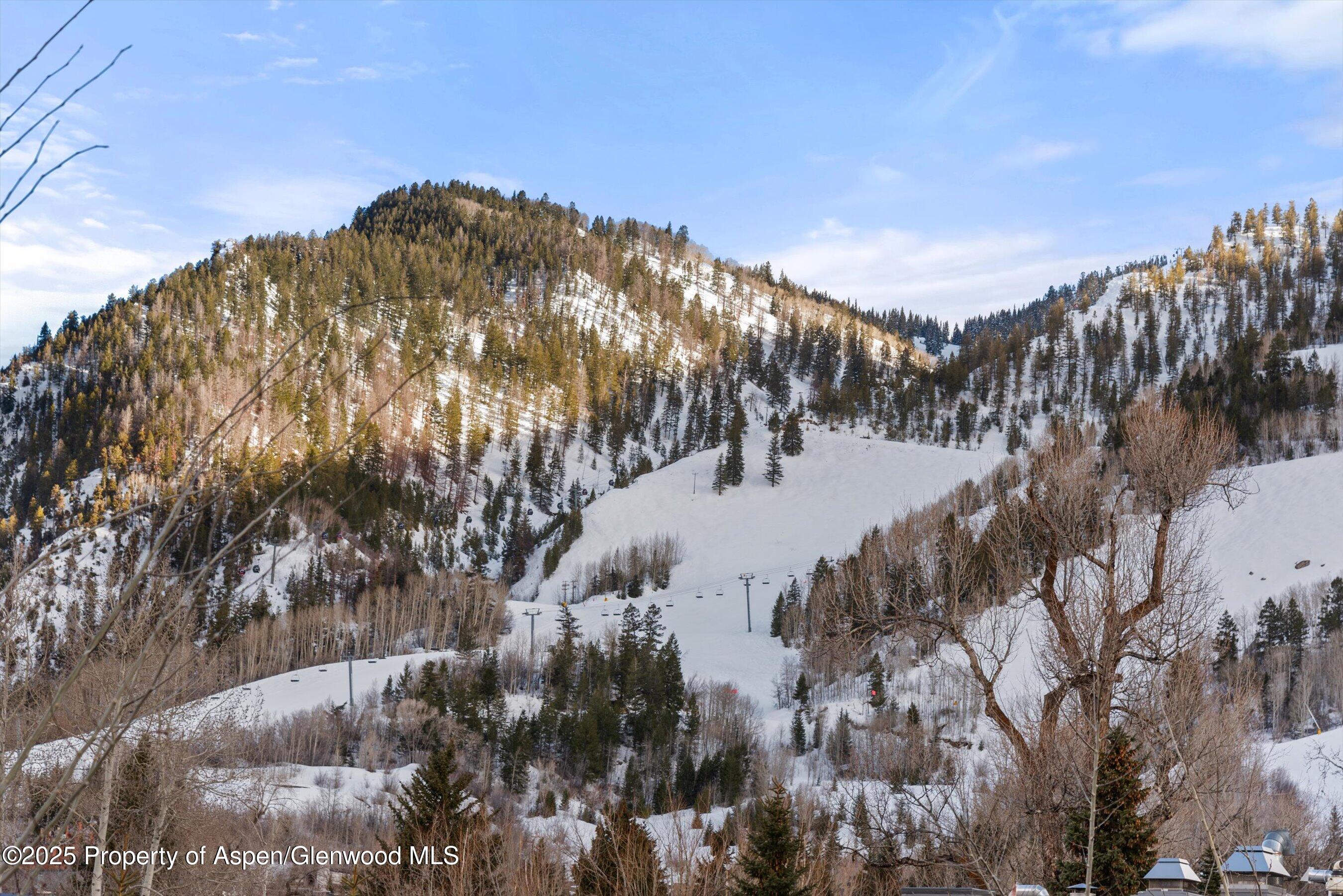 304 S Garmisch Street Aspen CO 81611