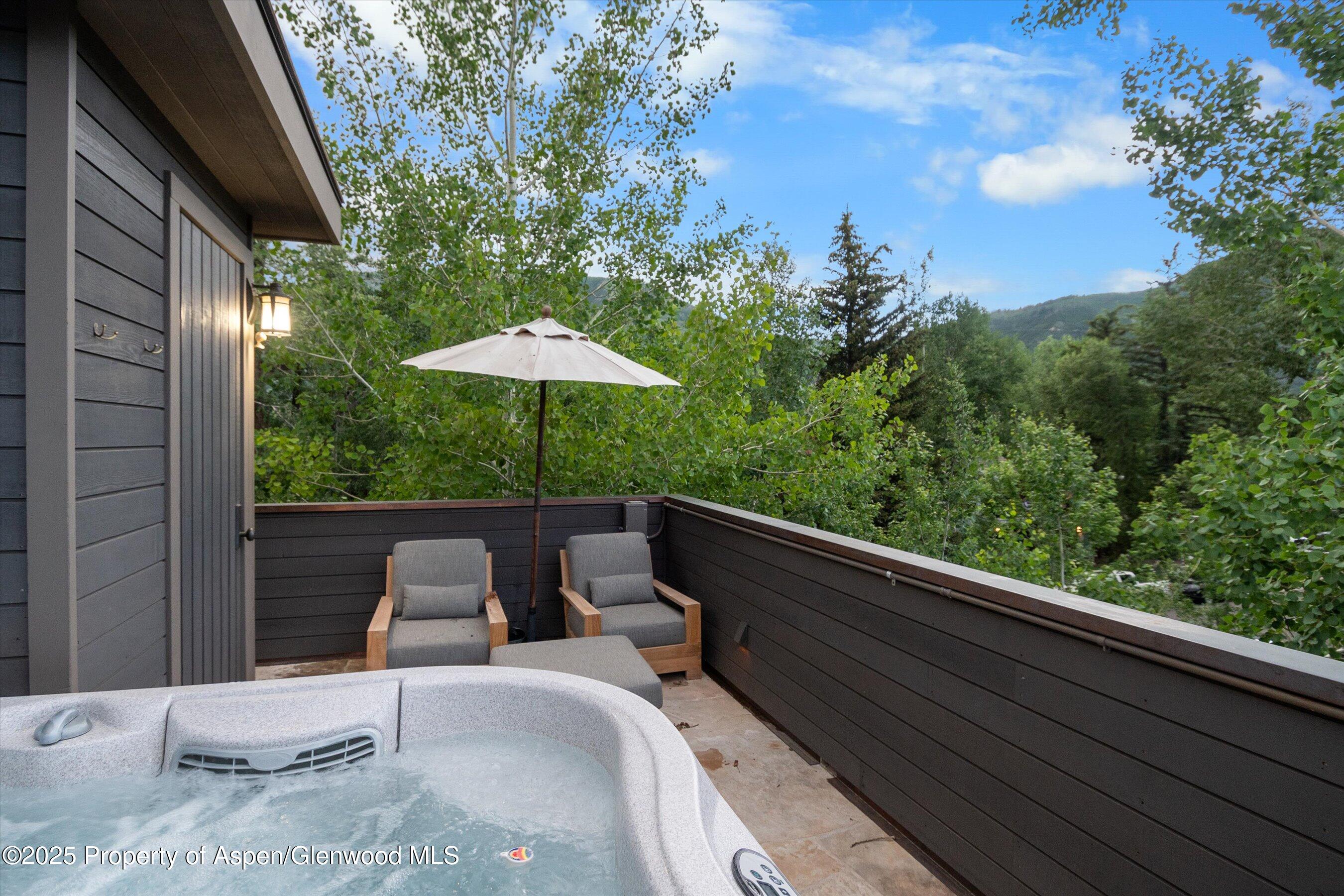 304 S Garmisch Street Aspen CO 81611