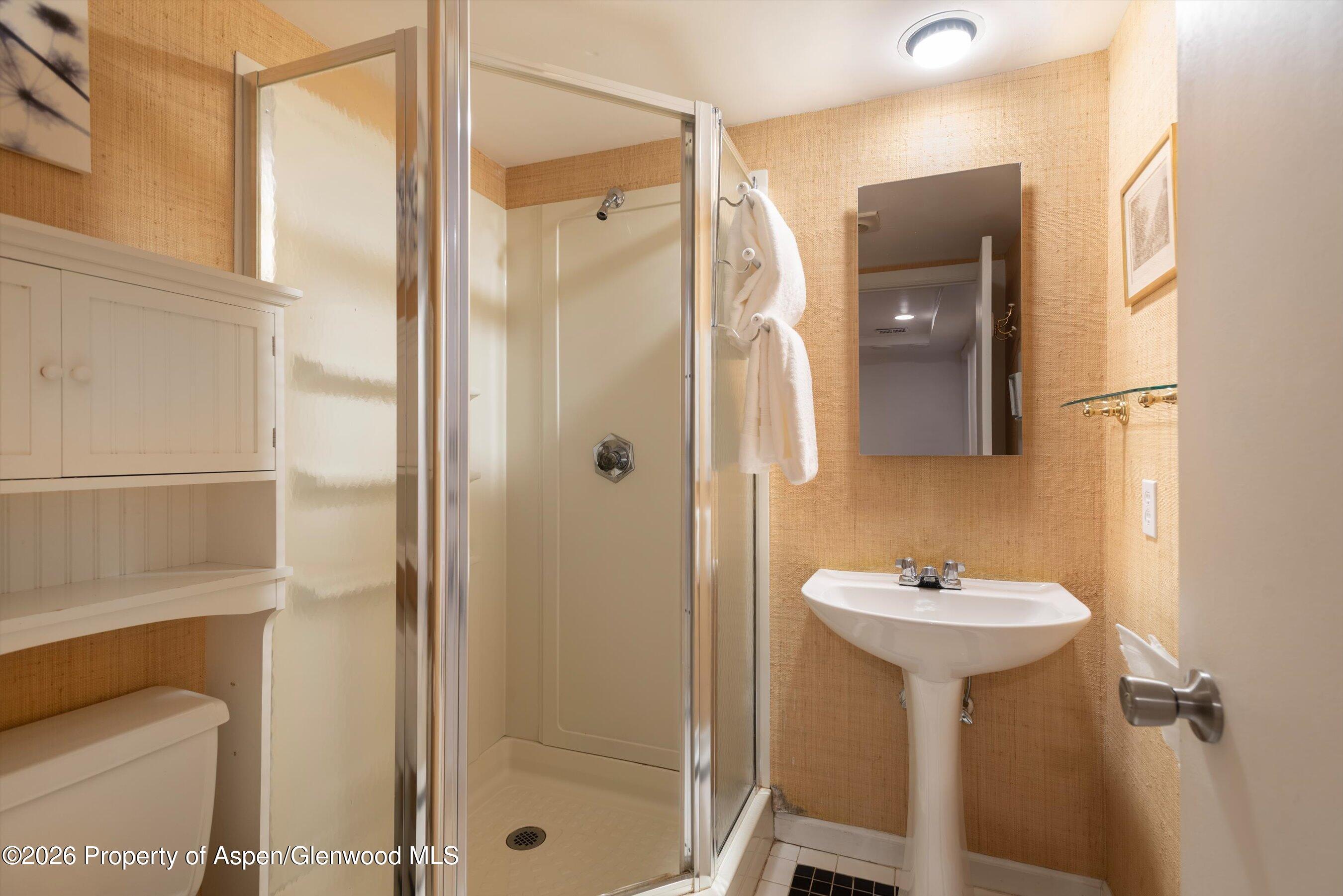 100 N 8th Street Aspen CO 81611