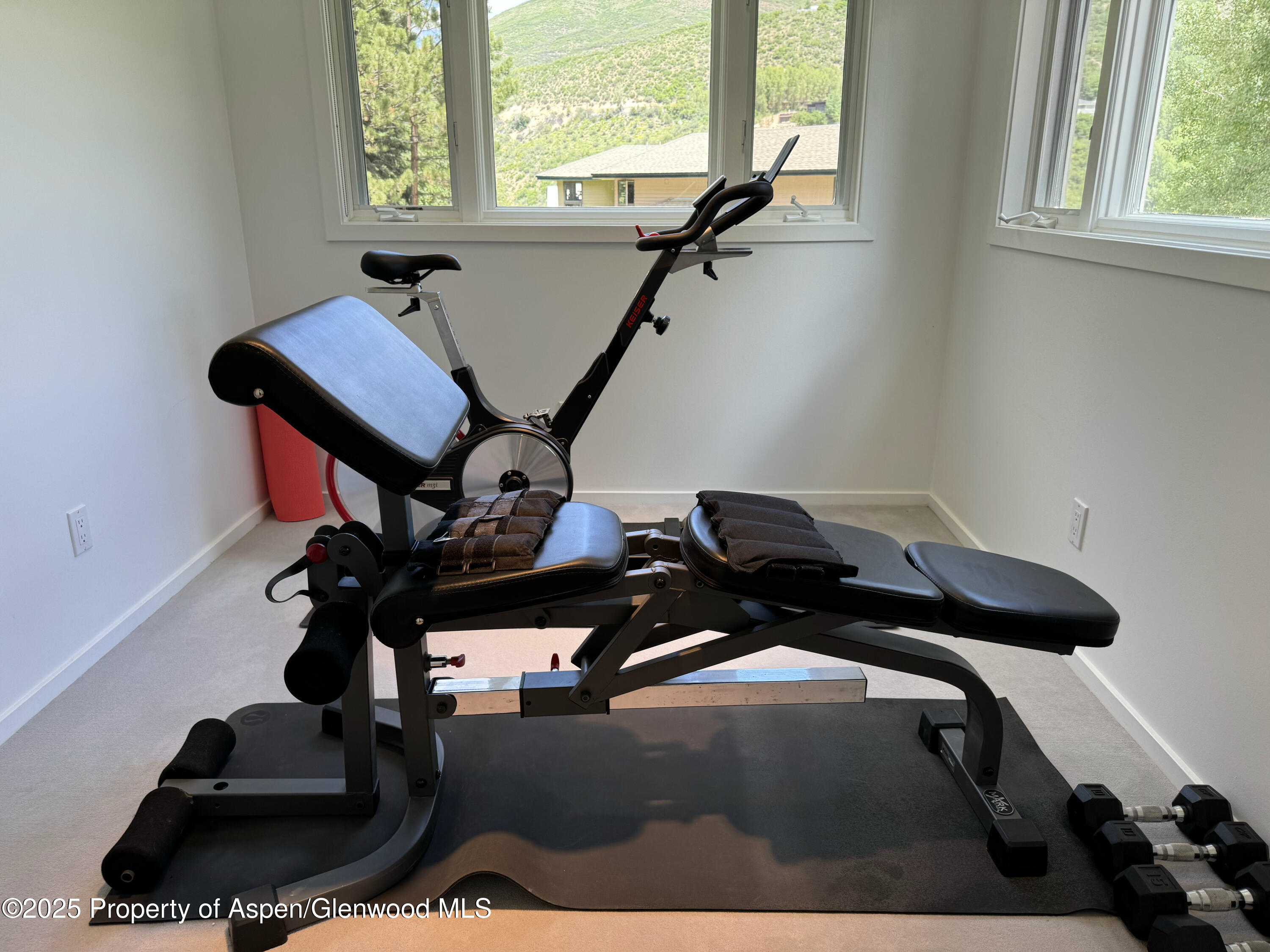 55 Overlook Drive Aspen CO 81611