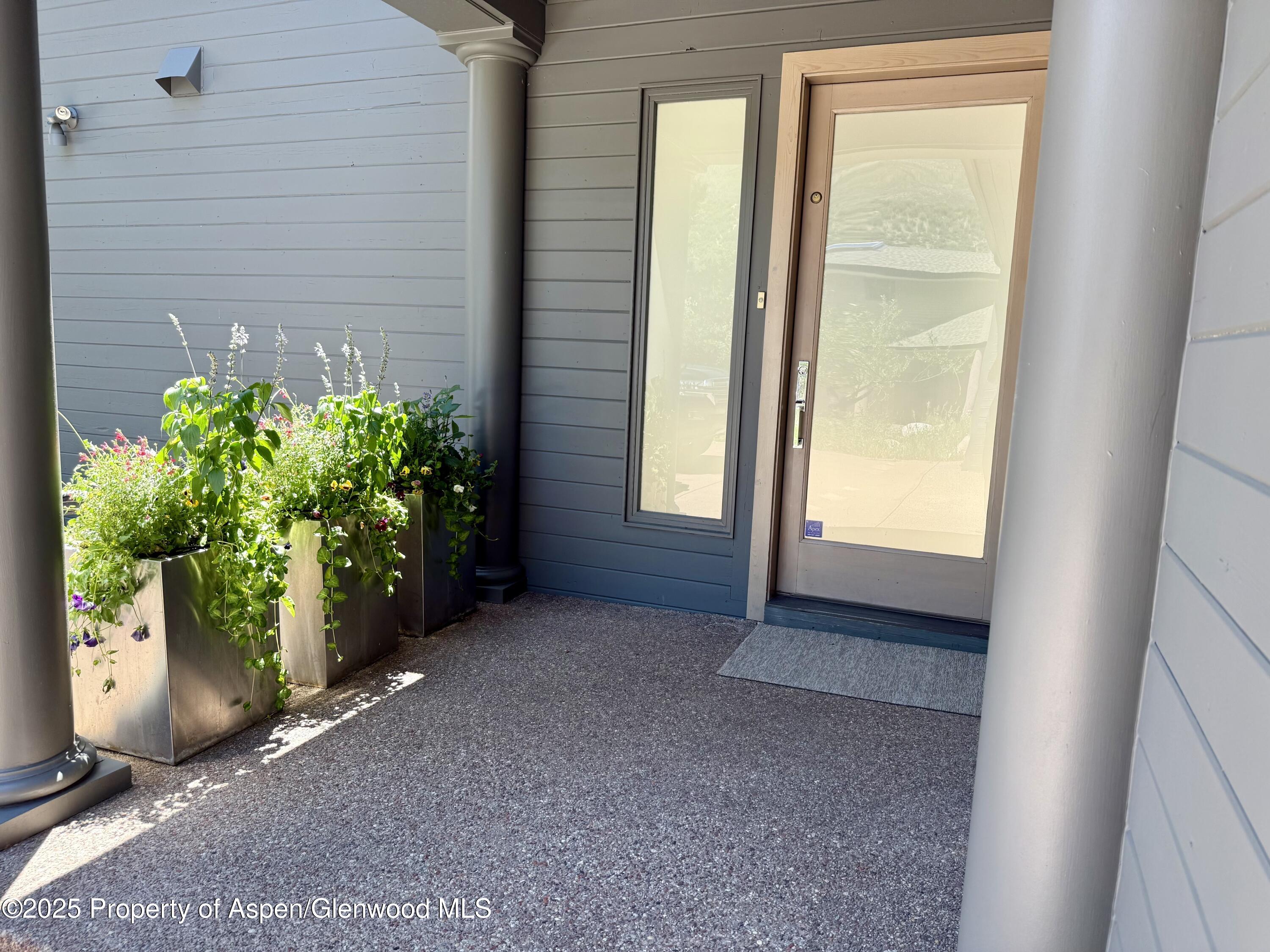 55 Overlook Drive Aspen CO 81611