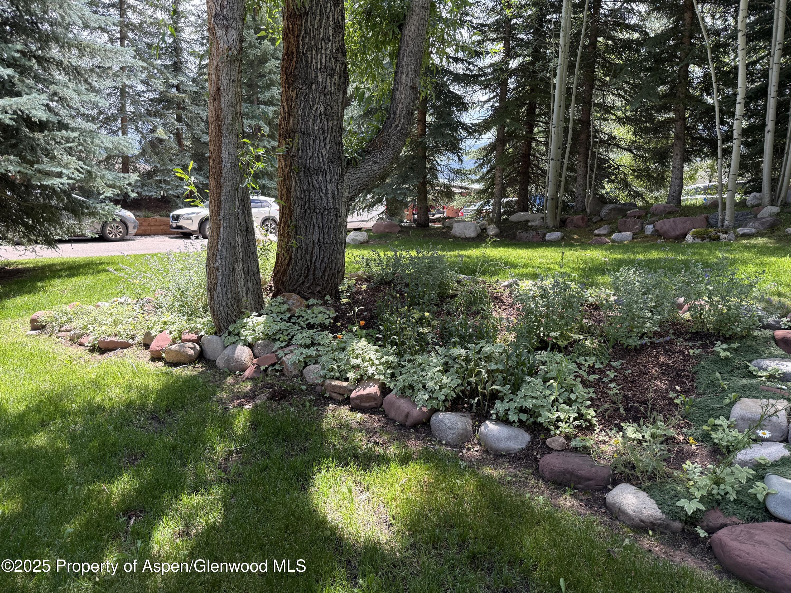 55 Overlook Drive Aspen CO 81611