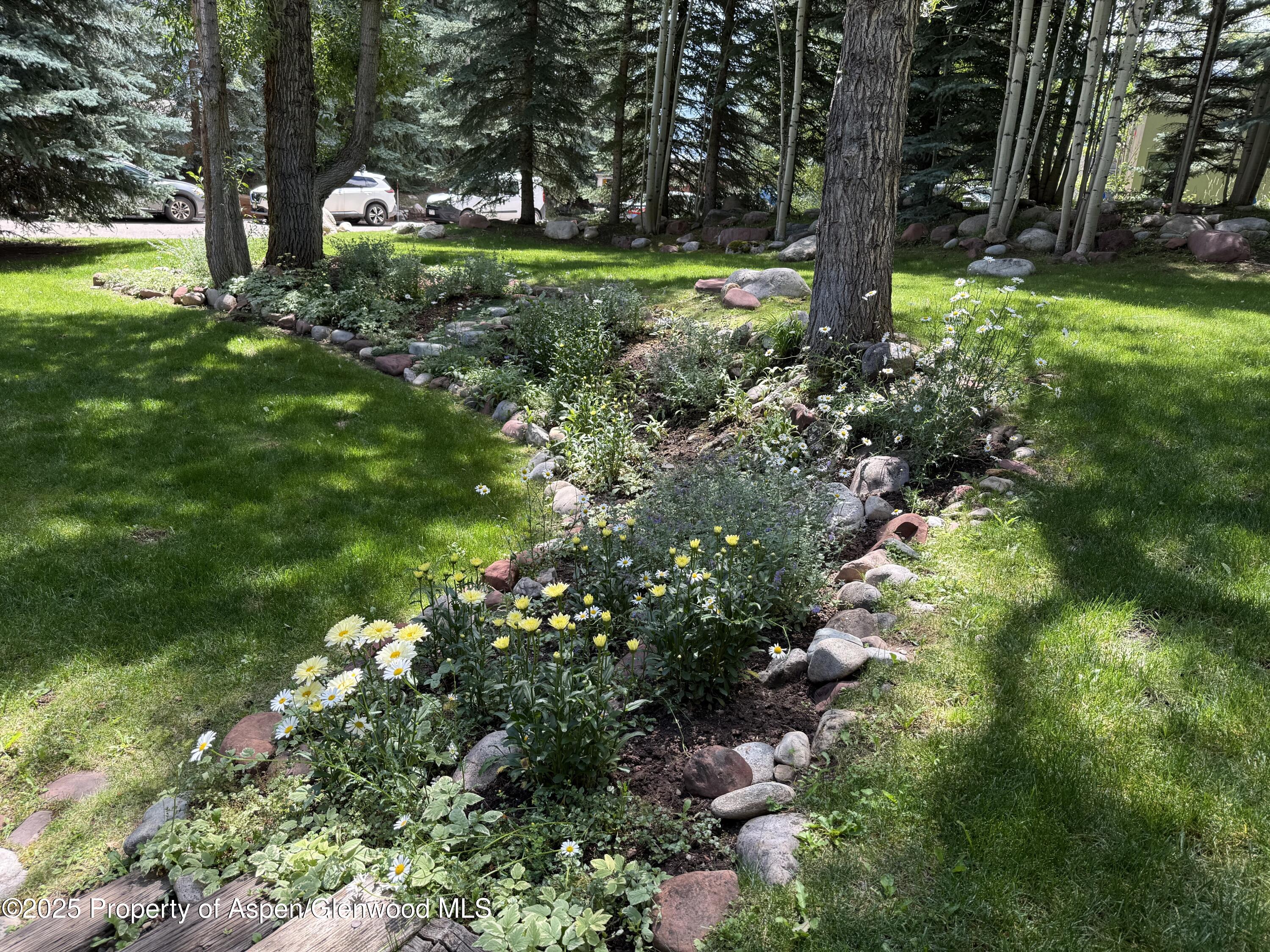 55 Overlook Drive Aspen CO 81611